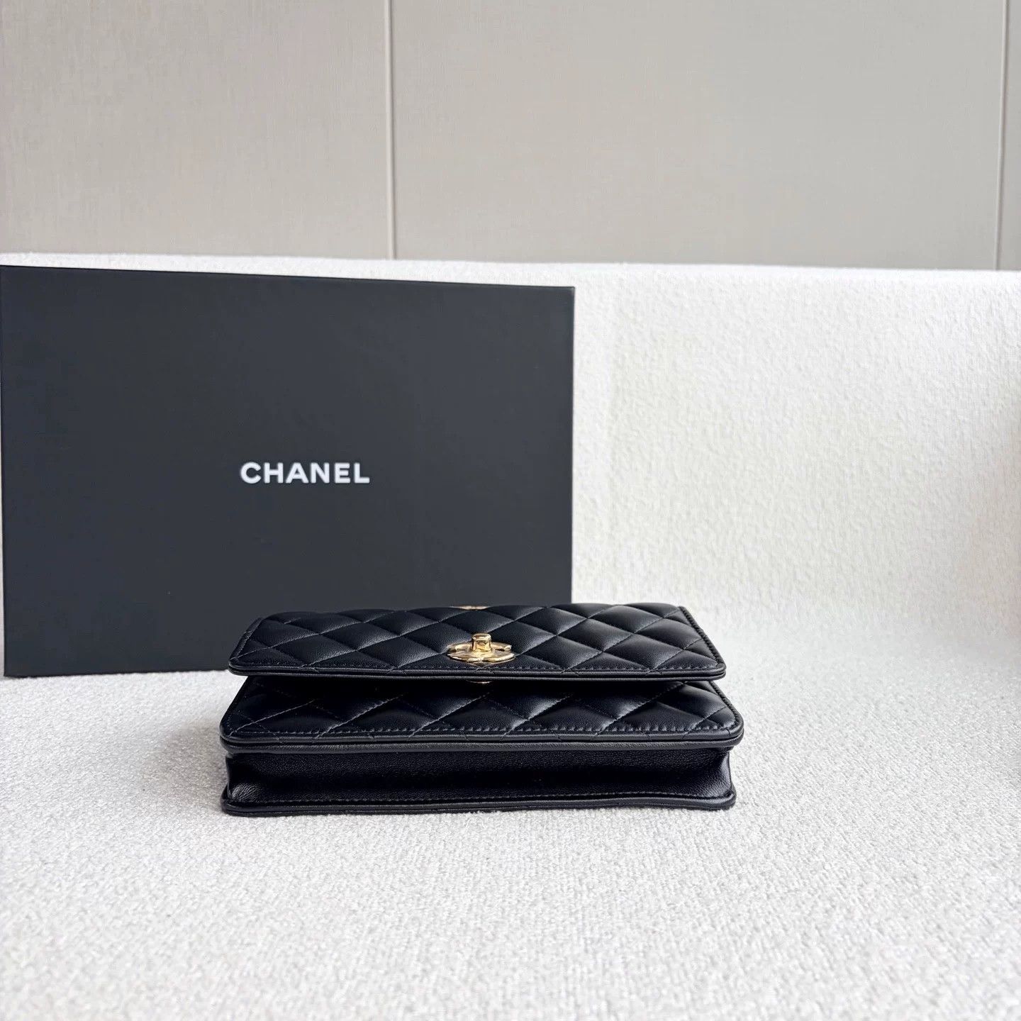 Chanel Pre-loved Bag Brand new condition Size ONE SIZE - 5 Thumbnail