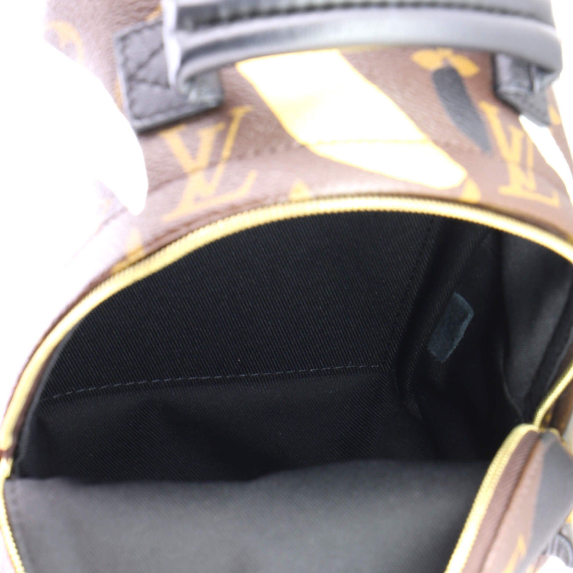 Louis Vuitton Palm Springs Backpack Size ONE SIZE - 5 Thumbnail