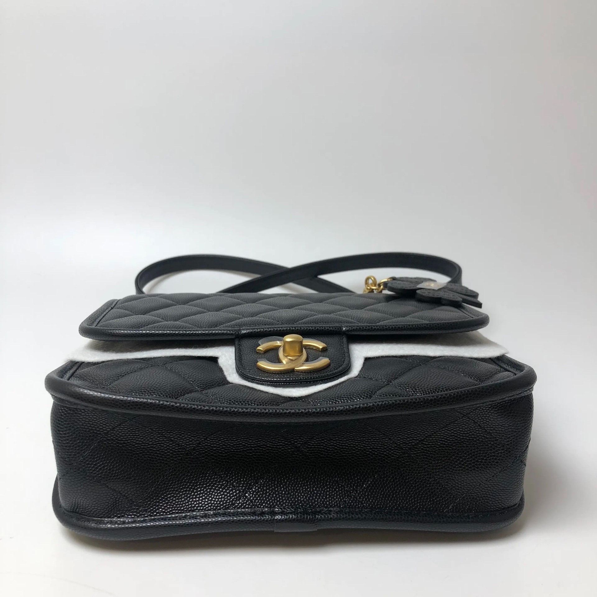 Chanel Pre-loved Bag Brand new condition Size ONE SIZE - 7 Thumbnail