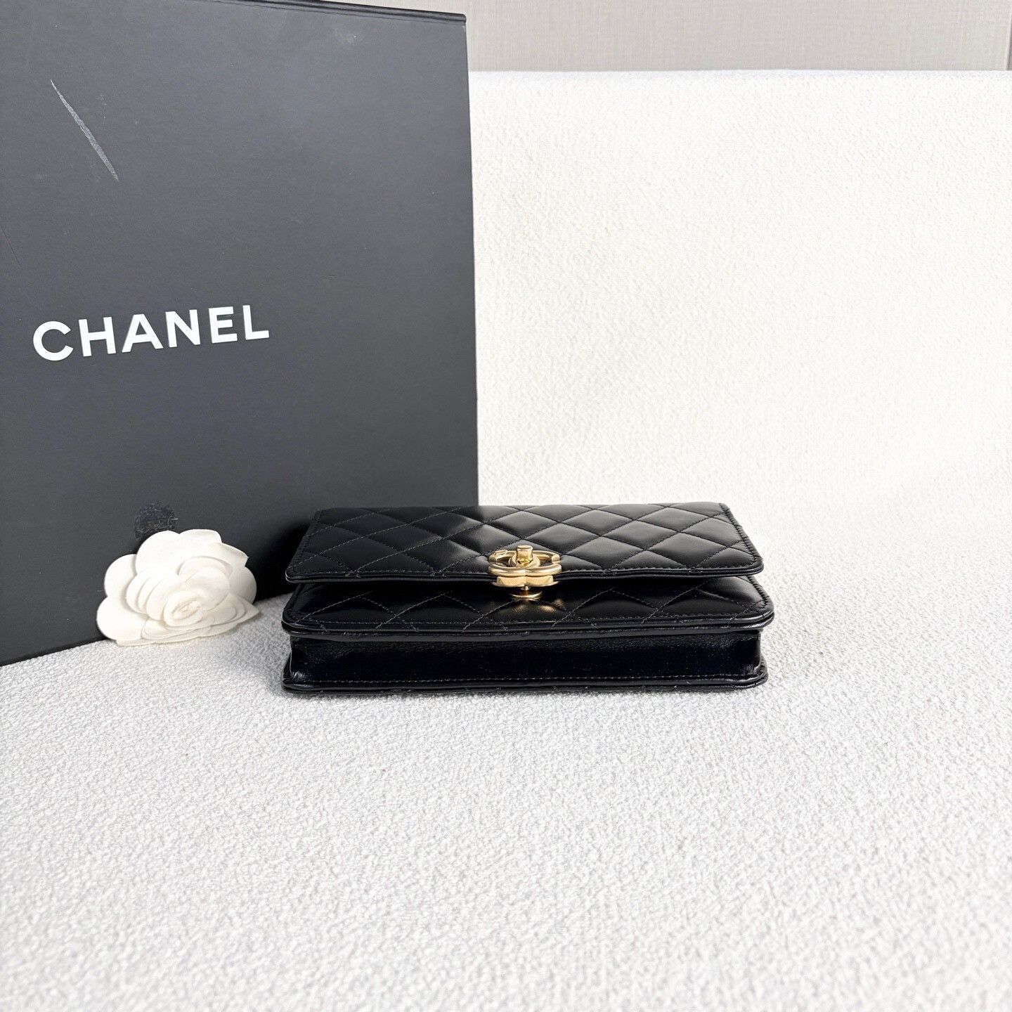 Chanel Pre-loved Bag Brand new condition Size ONE SIZE - 5 Thumbnail