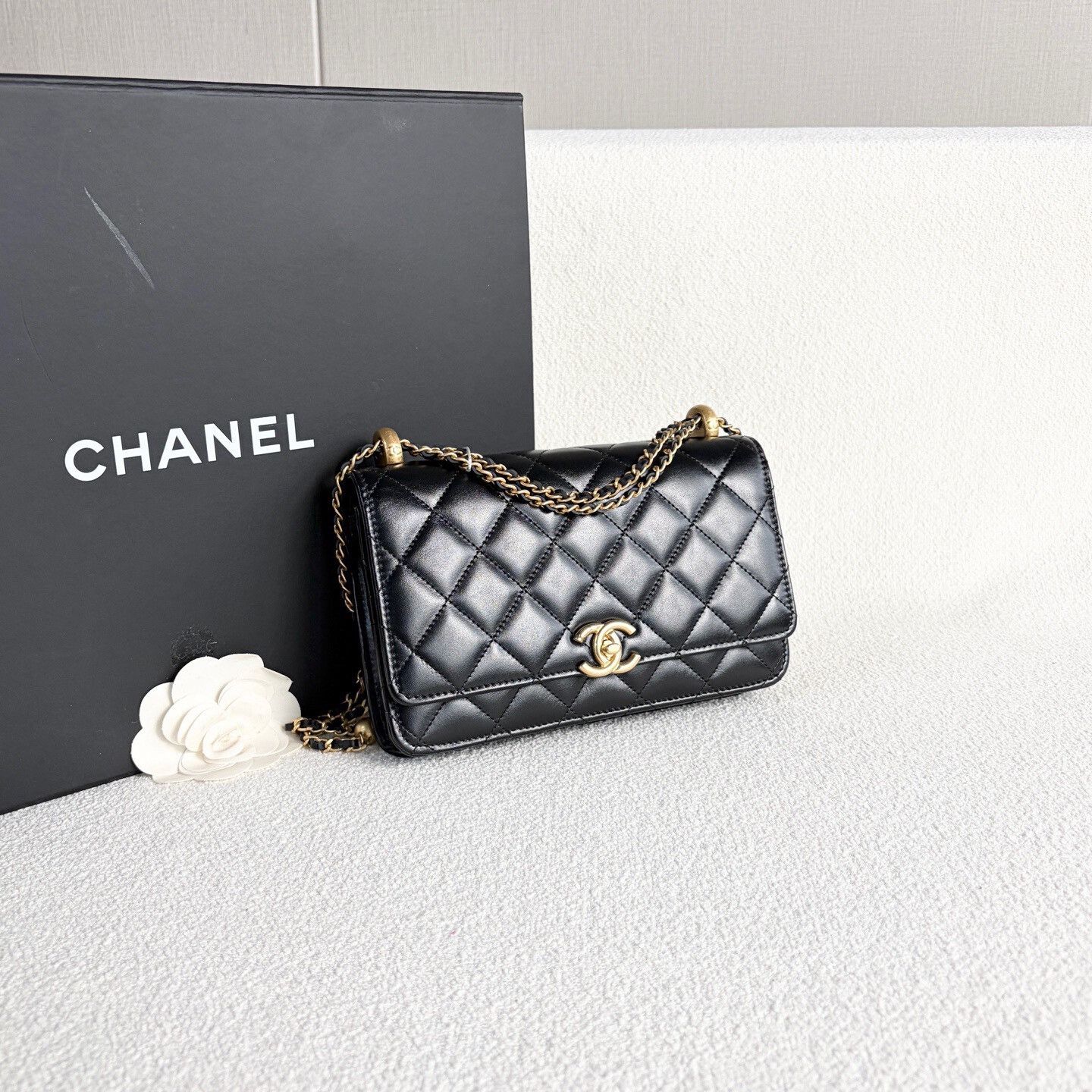 Chanel Pre-loved Bag Brand new condition Size ONE SIZE - 6 Thumbnail
