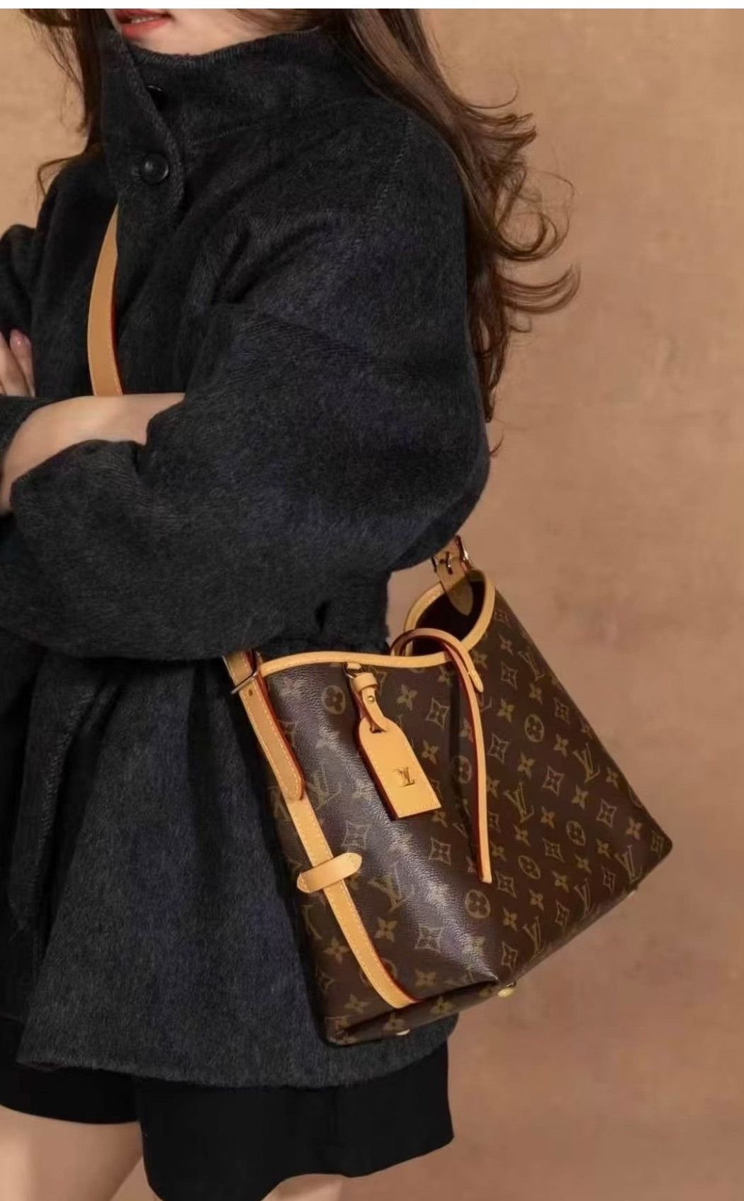 Louis Vuitton Pre-loved Bag Brand new condition Size ONE SIZE - 9 Thumbnail