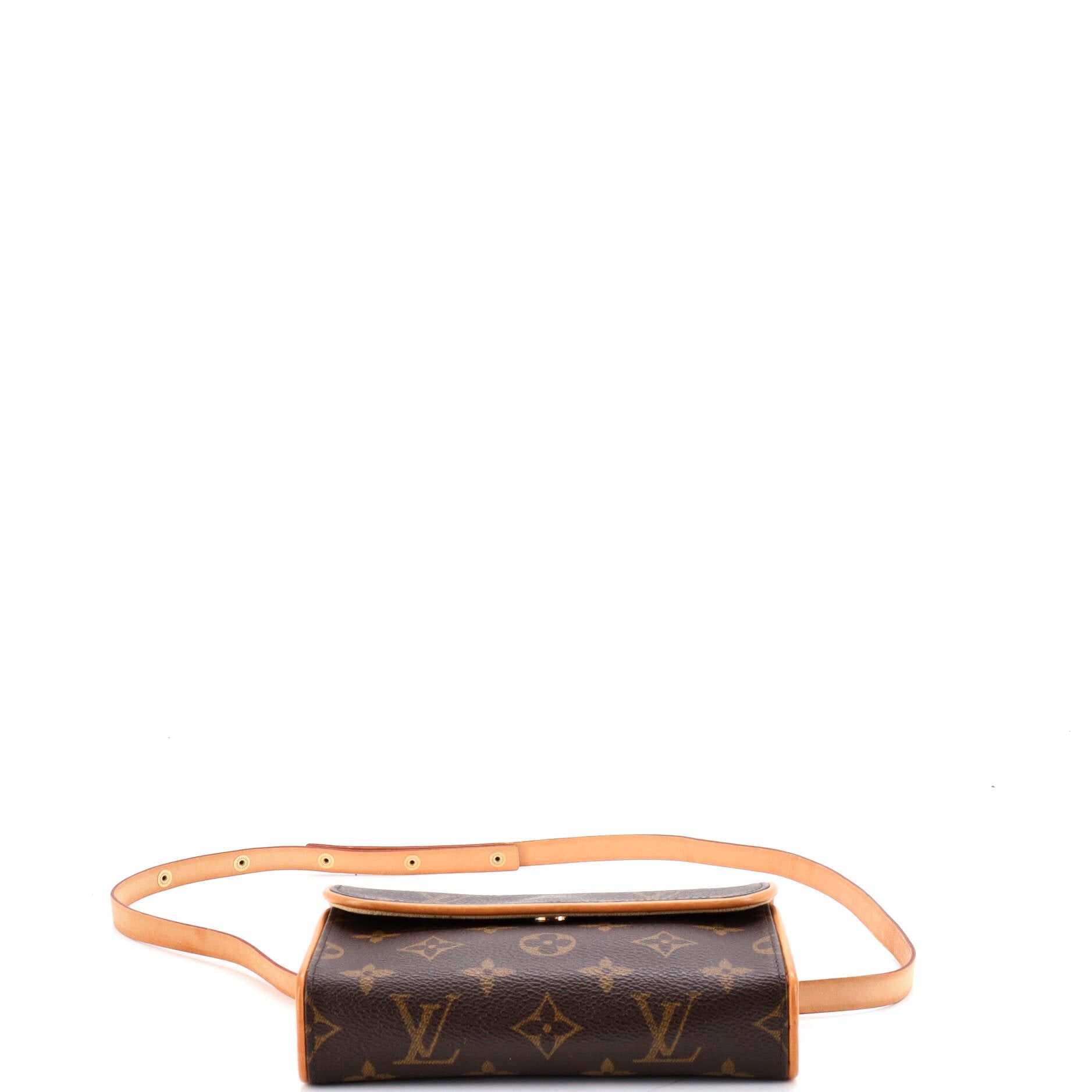 Louis Vuitton Florentine Waist Bag Size ONE SIZE - 4 Thumbnail