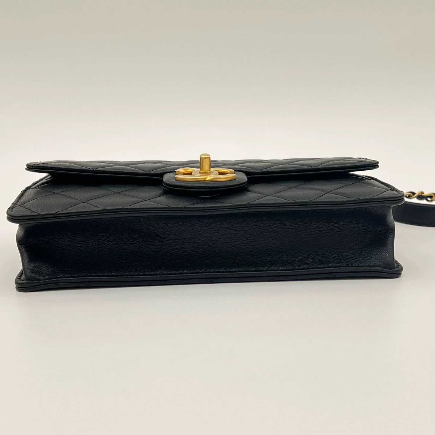 Chanel Pre-loved Bag Brand new condition Size ONE SIZE - 5 Thumbnail