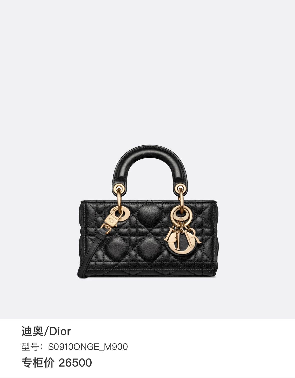 Dior Pre-loved Bag Very good condition Size ONE SIZE - 8 Thumbnail
