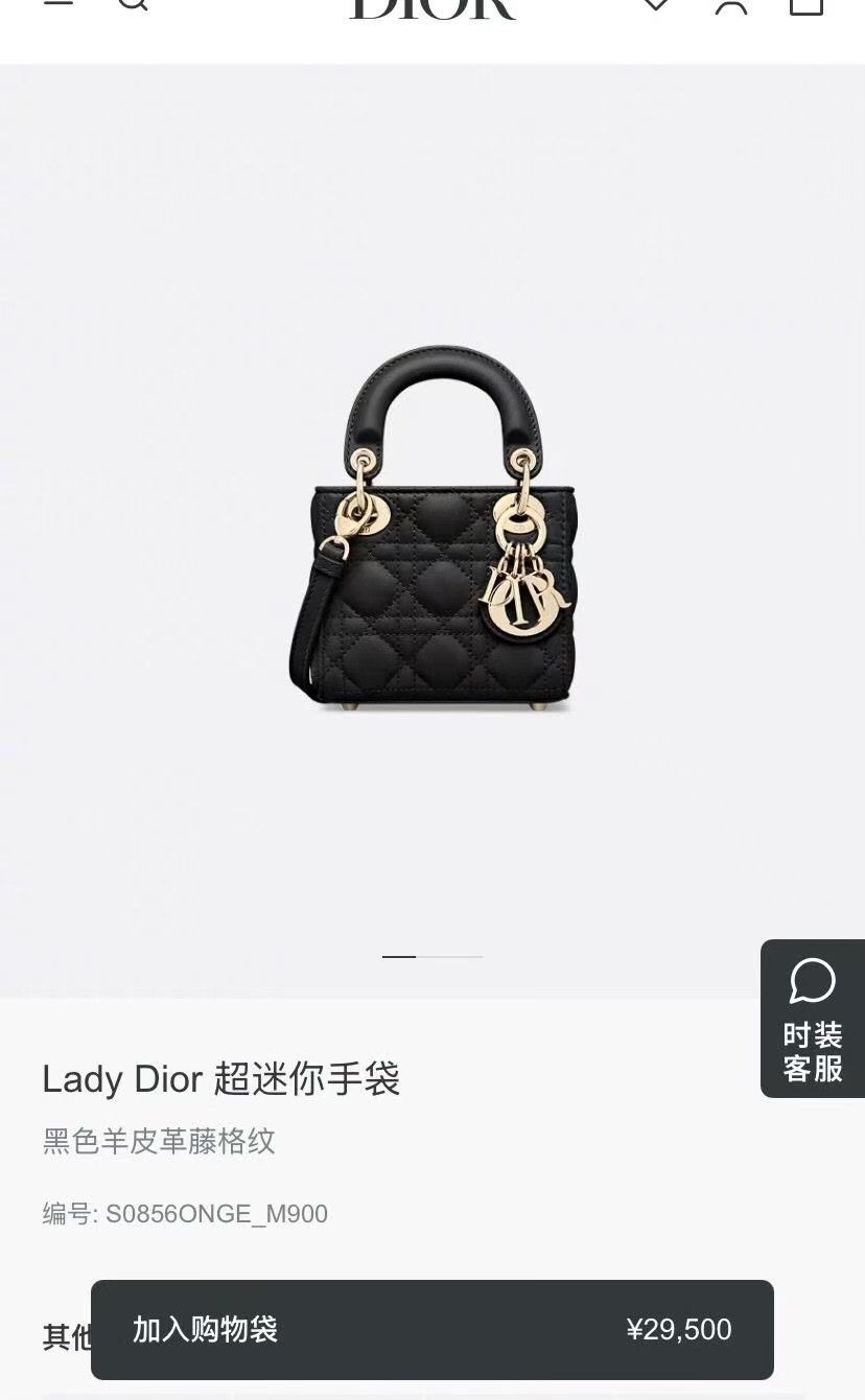 Dior Pre-loved Bag Very good condition Size ONE SIZE - 4 Thumbnail