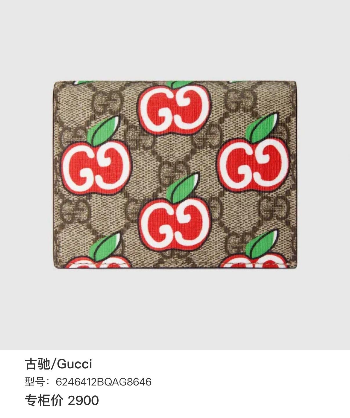 Gucci Pre-loved Bag Very good condition Size ONE SIZE - 9 Thumbnail