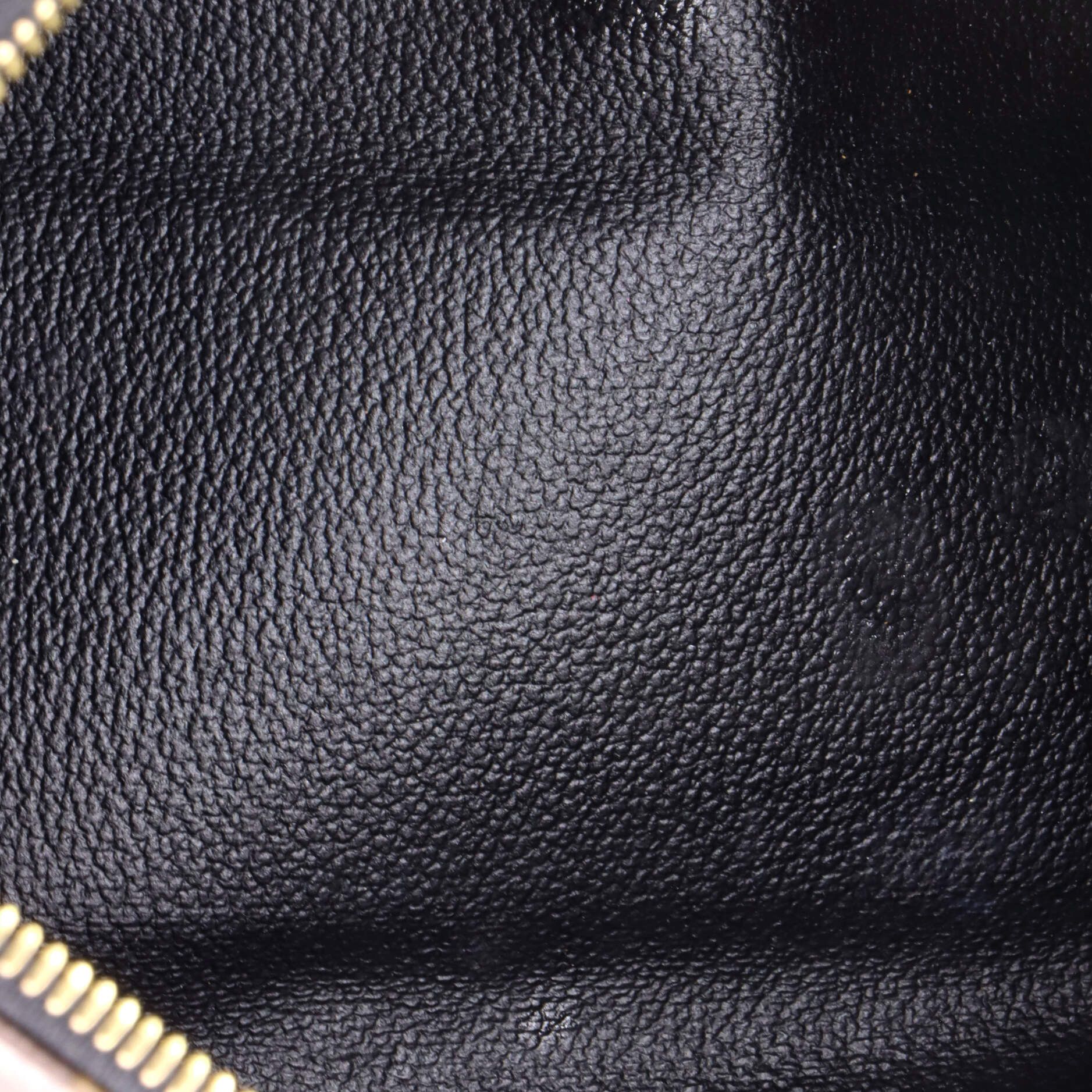 Louis Vuitton Pallas Beauty Case Size ONE SIZE - 5 Thumbnail
