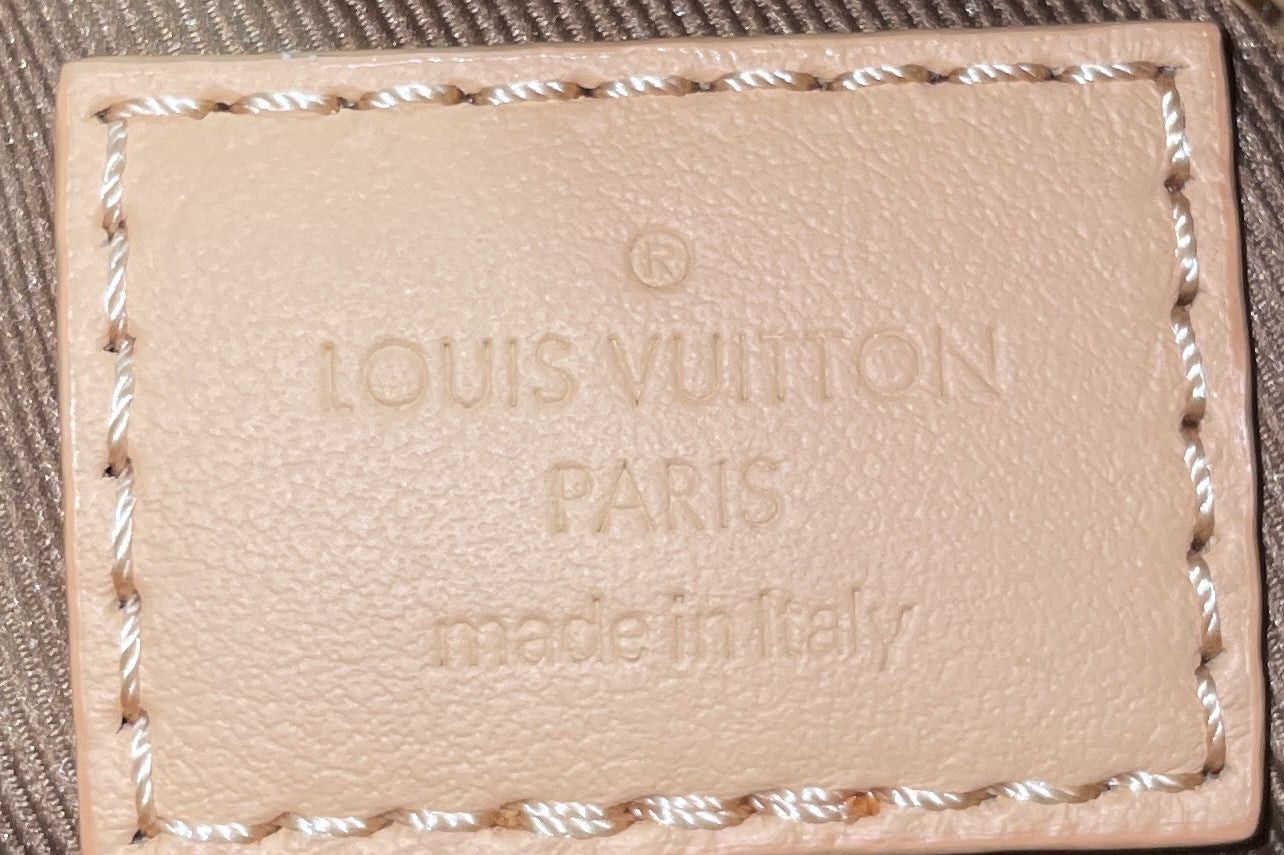 Louis Vuitton Hobo Cago Size ONE SIZE - 8 Thumbnail