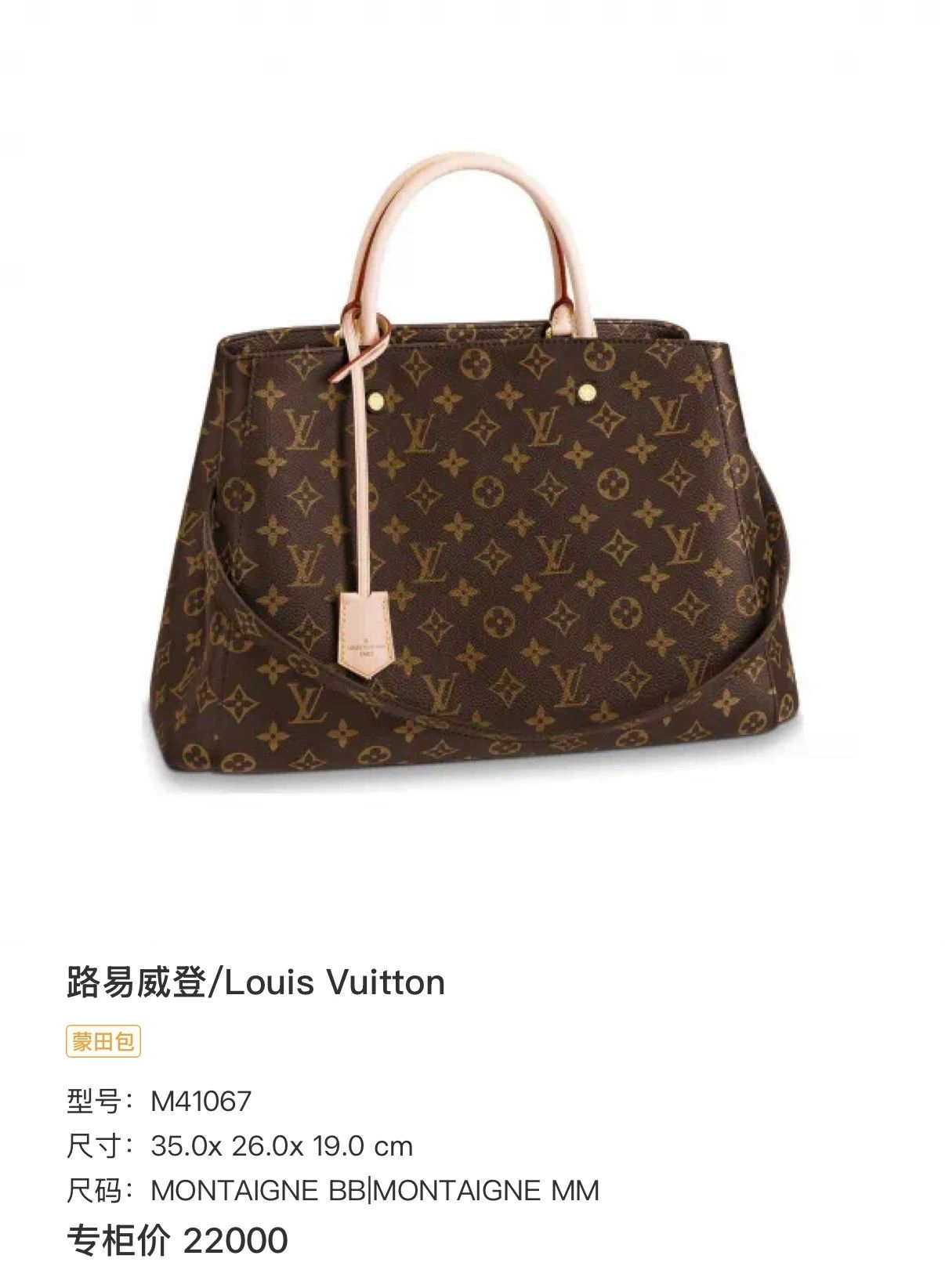Louis Vuitton Pre-loved Bag Very good condition Size ONE SIZE - 9 Thumbnail