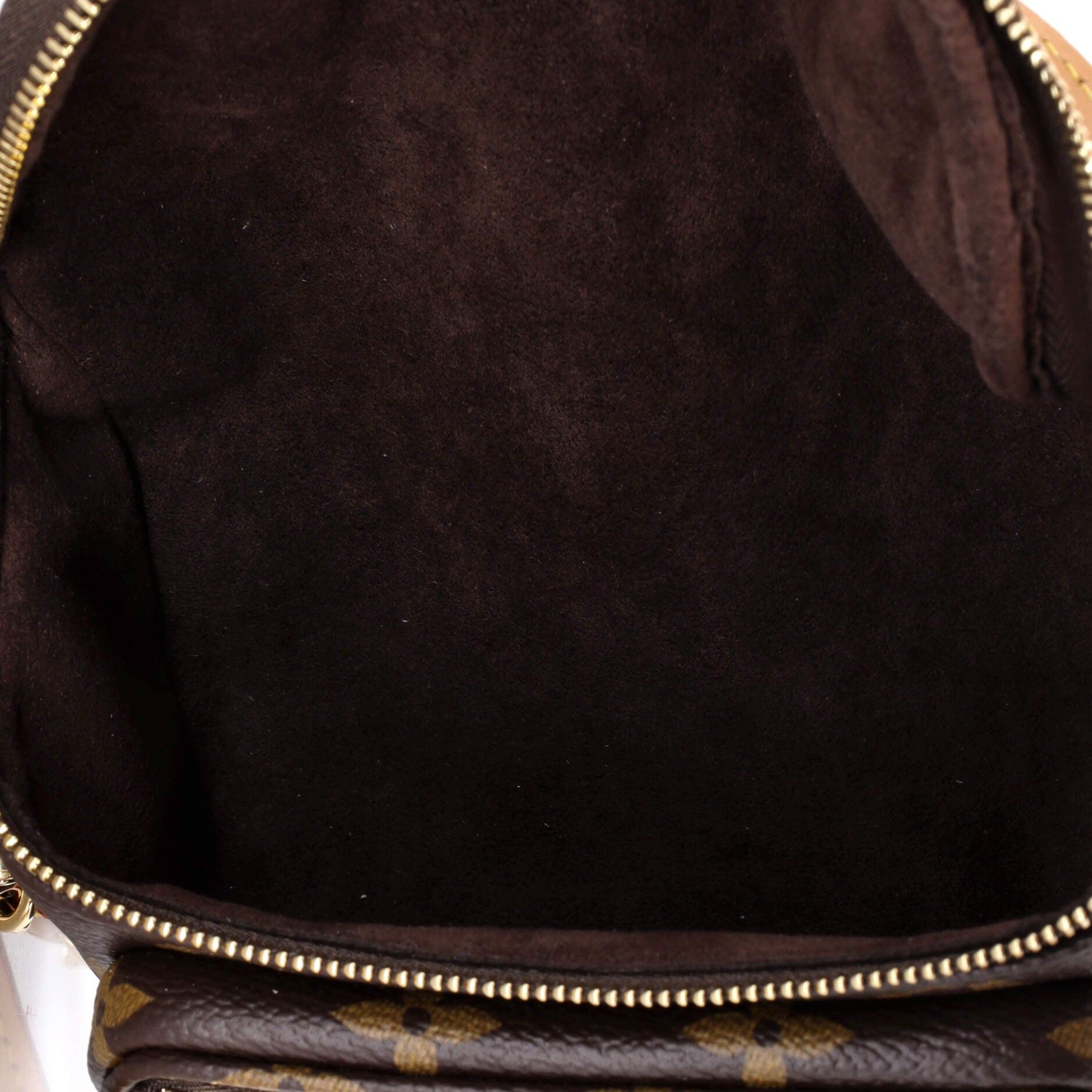 Louis Vuitton Bum Bag Size ONE SIZE - 5 Thumbnail
