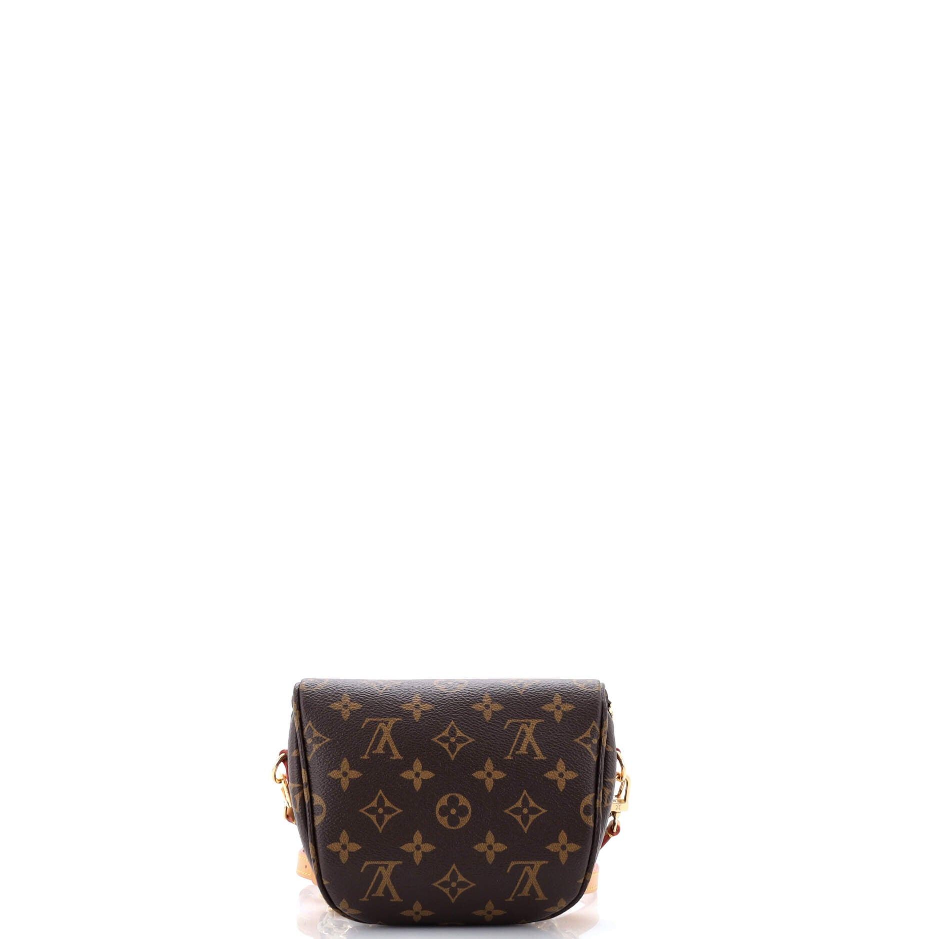 Louis Vuitton Bum Bag Size ONE SIZE - 3 Thumbnail
