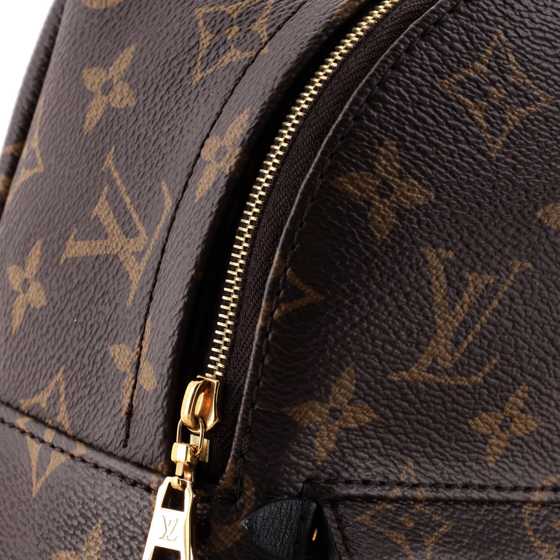 Louis Vuitton Palm Springs Backpack Size ONE SIZE - 6 Thumbnail