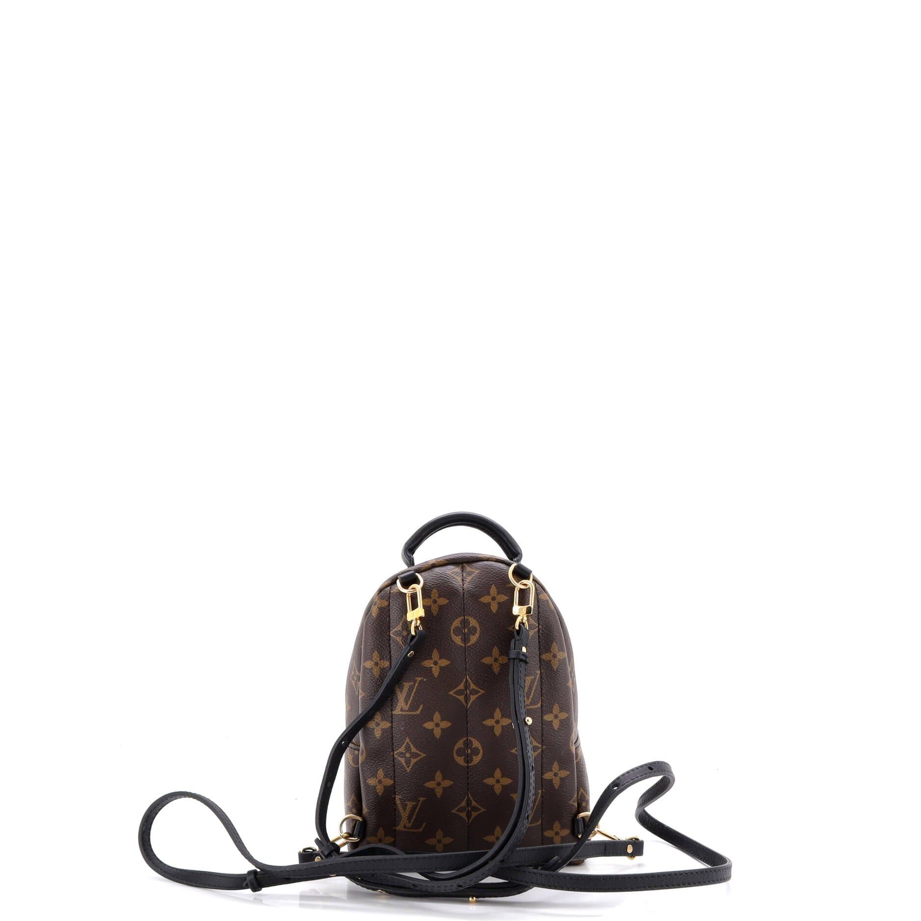 Louis Vuitton Palm Springs Backpack Size ONE SIZE - 3 Thumbnail