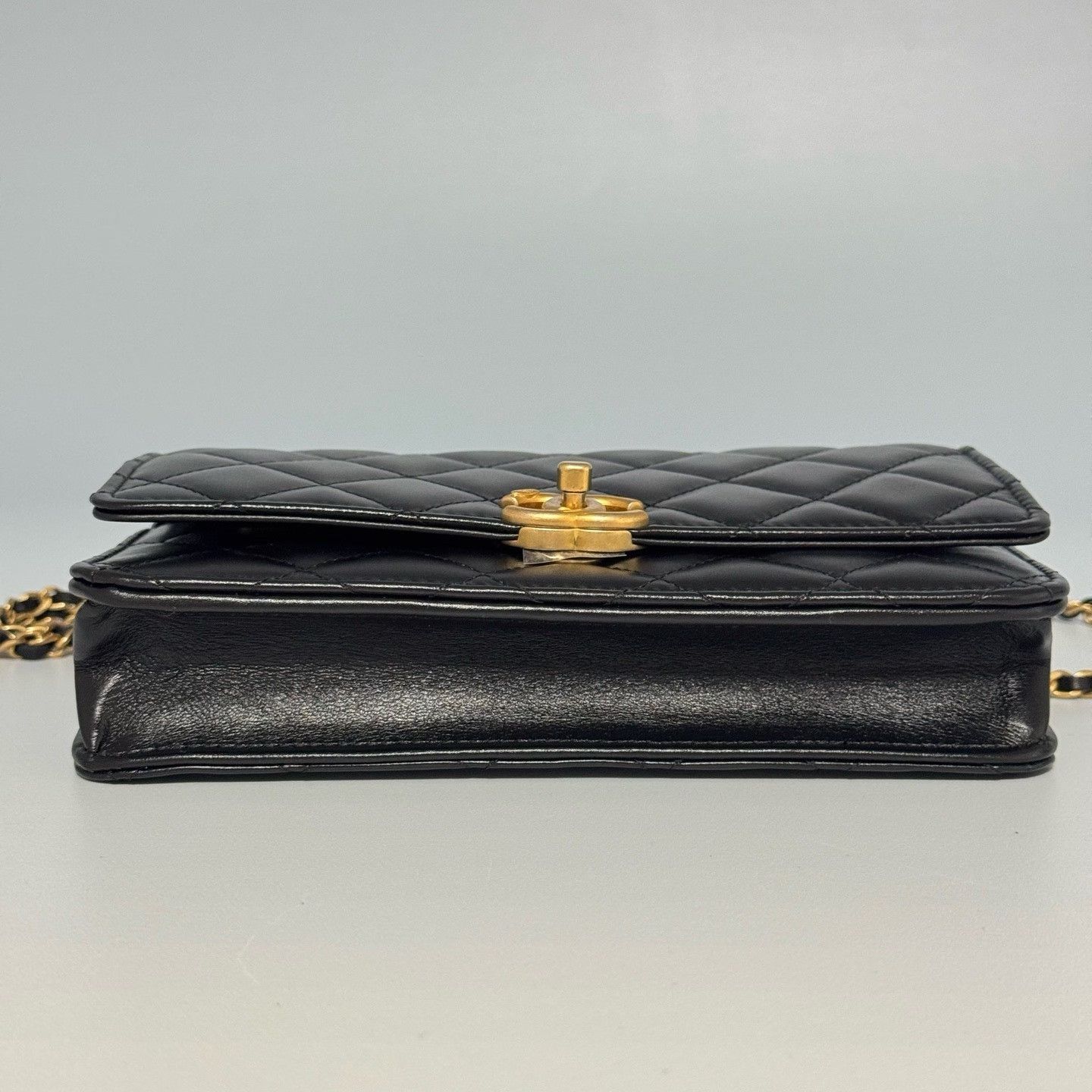 Chanel Pre-loved Bag Brand new condition Size ONE SIZE - 5 Thumbnail