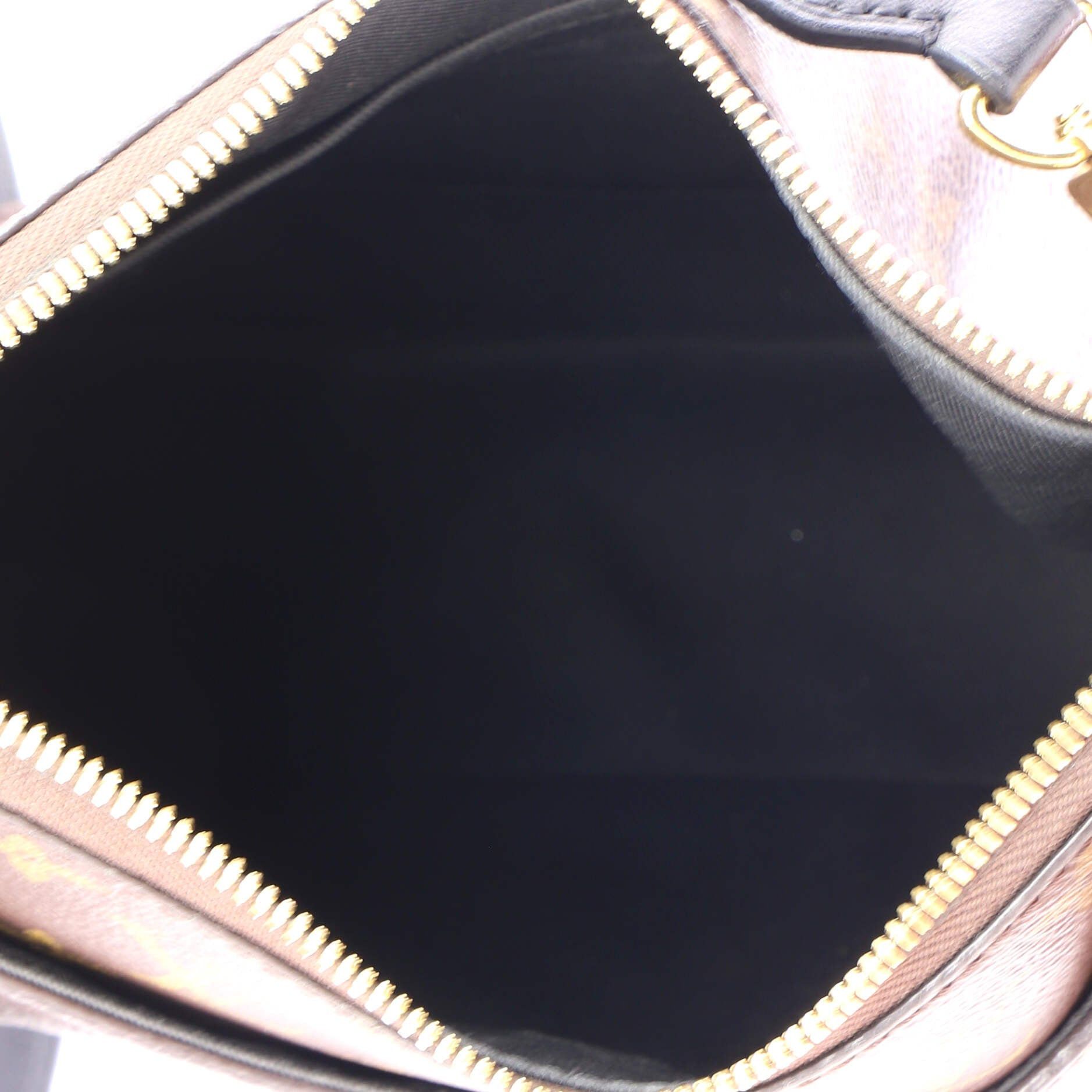 Louis Vuitton Odeon NM Handbag Size ONE SIZE - 5 Thumbnail