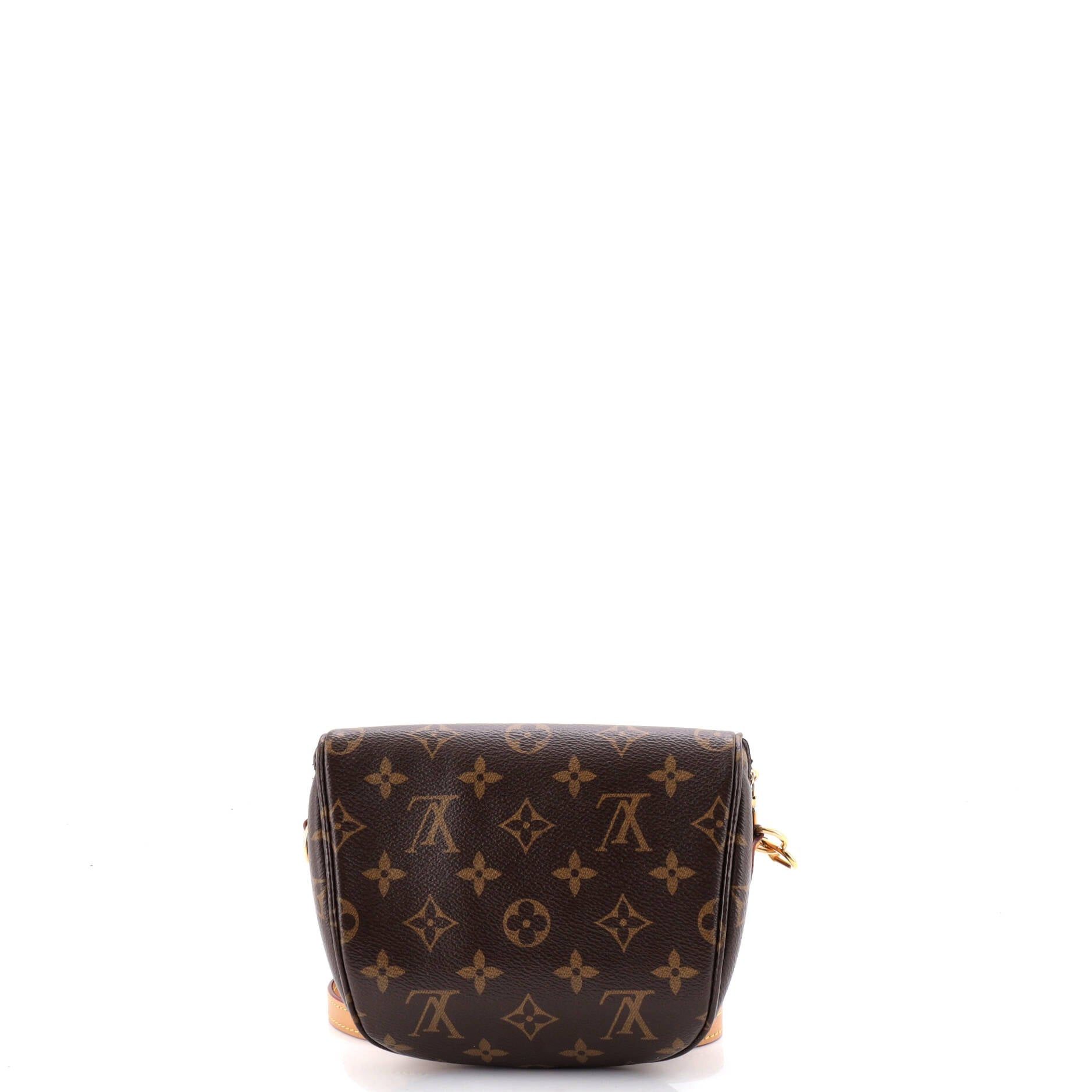 Louis Vuitton Bum Bag Size ONE SIZE - 3 Thumbnail