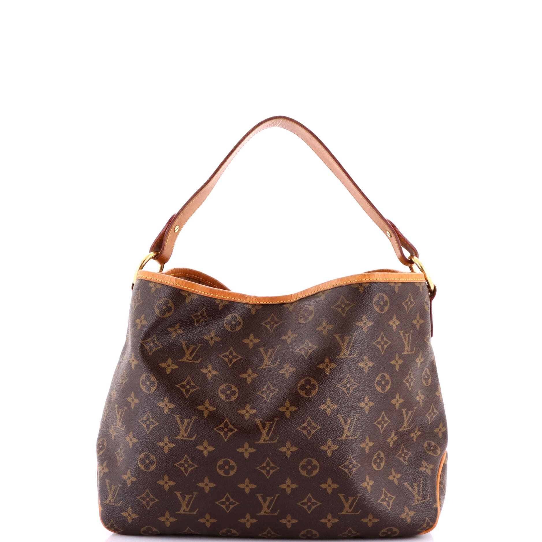Louis Vuitton Delightful Handbag Size ONE SIZE - 3 Thumbnail