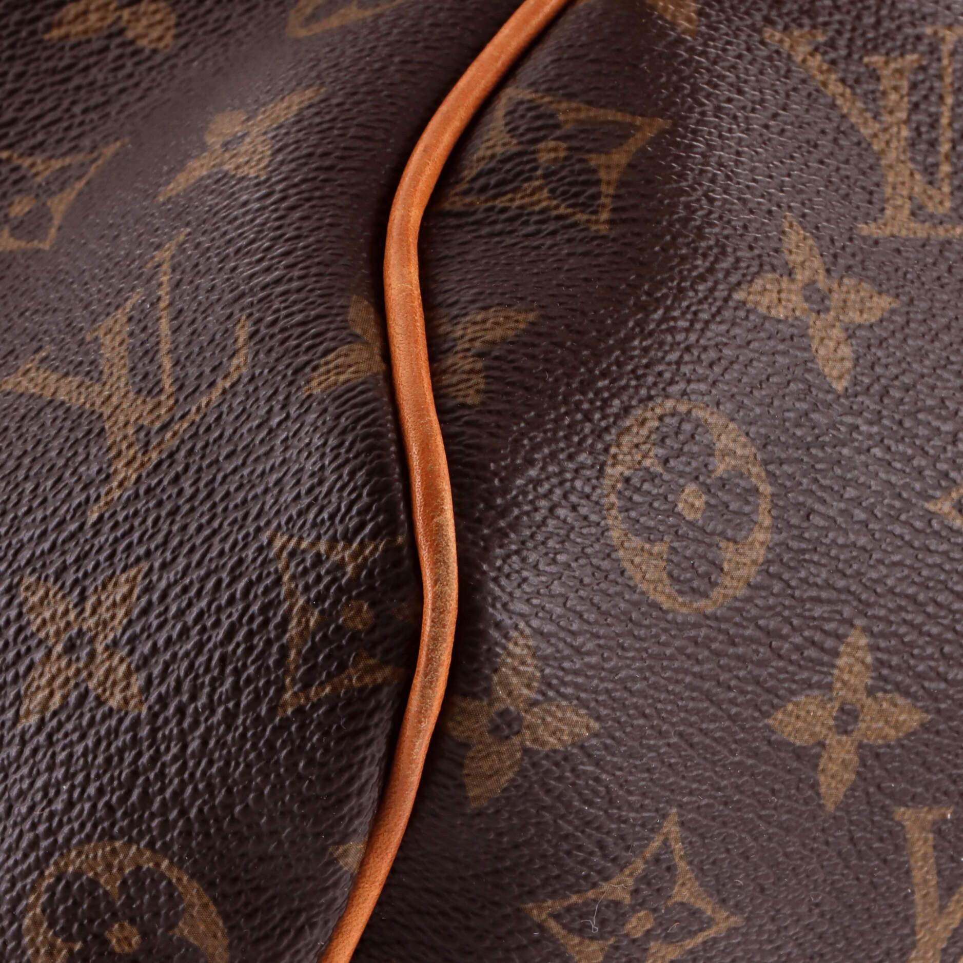 Louis Vuitton Delightful Handbag Size ONE SIZE - 6 Thumbnail
