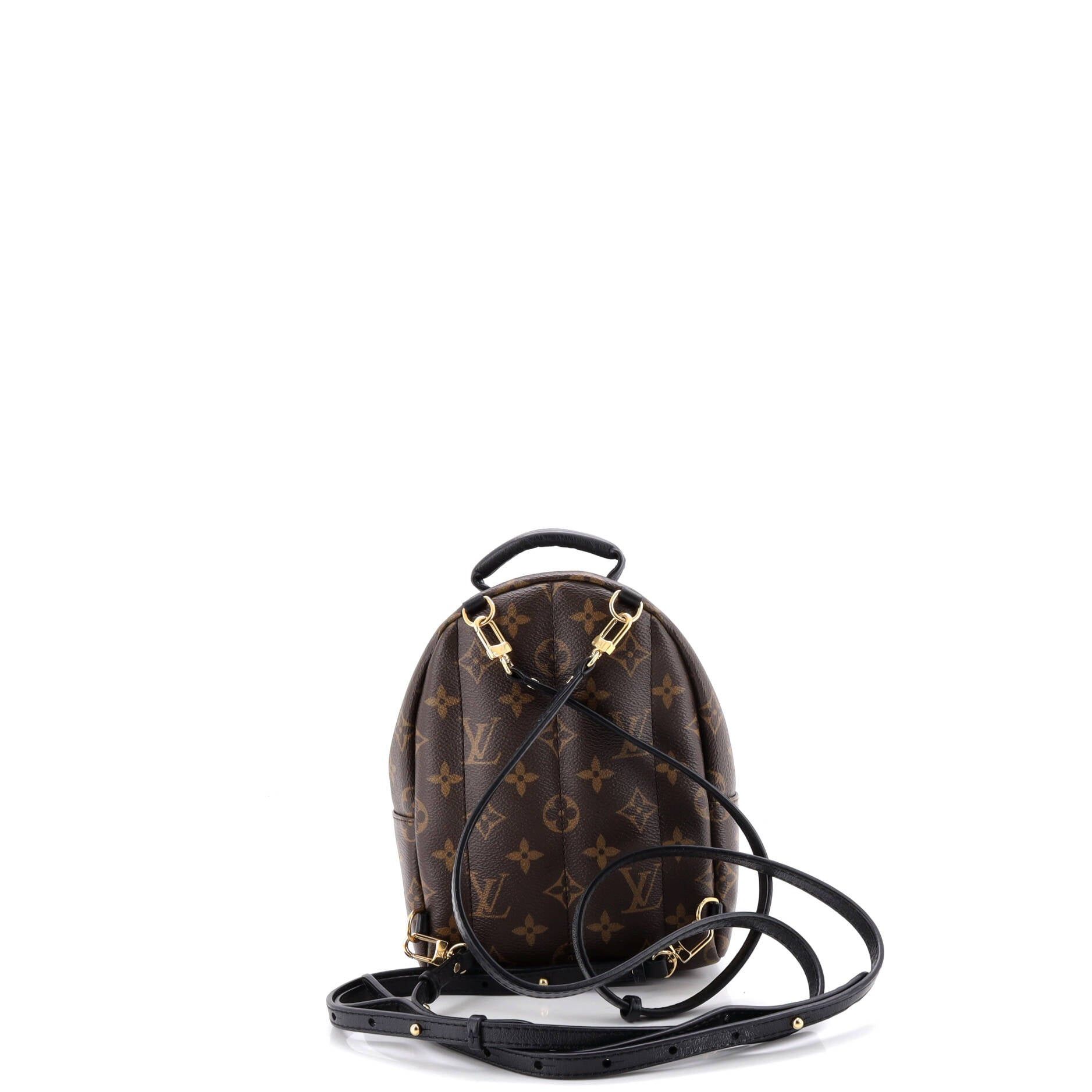 Louis Vuitton Palm Springs Backpack Size ONE SIZE - 3 Thumbnail