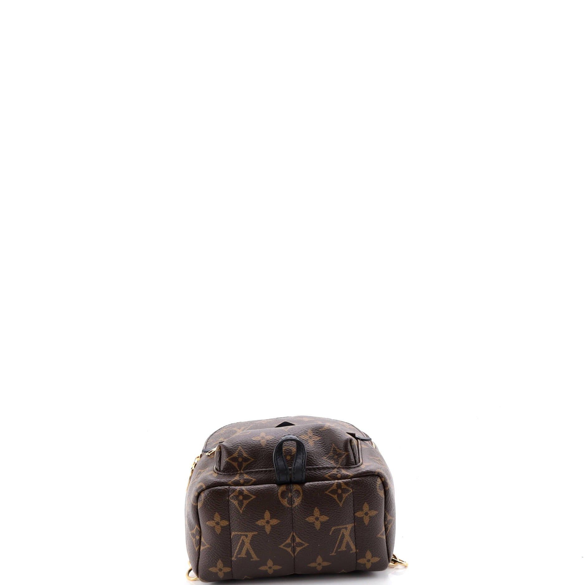 Louis Vuitton Palm Springs Backpack Size ONE SIZE - 4 Thumbnail