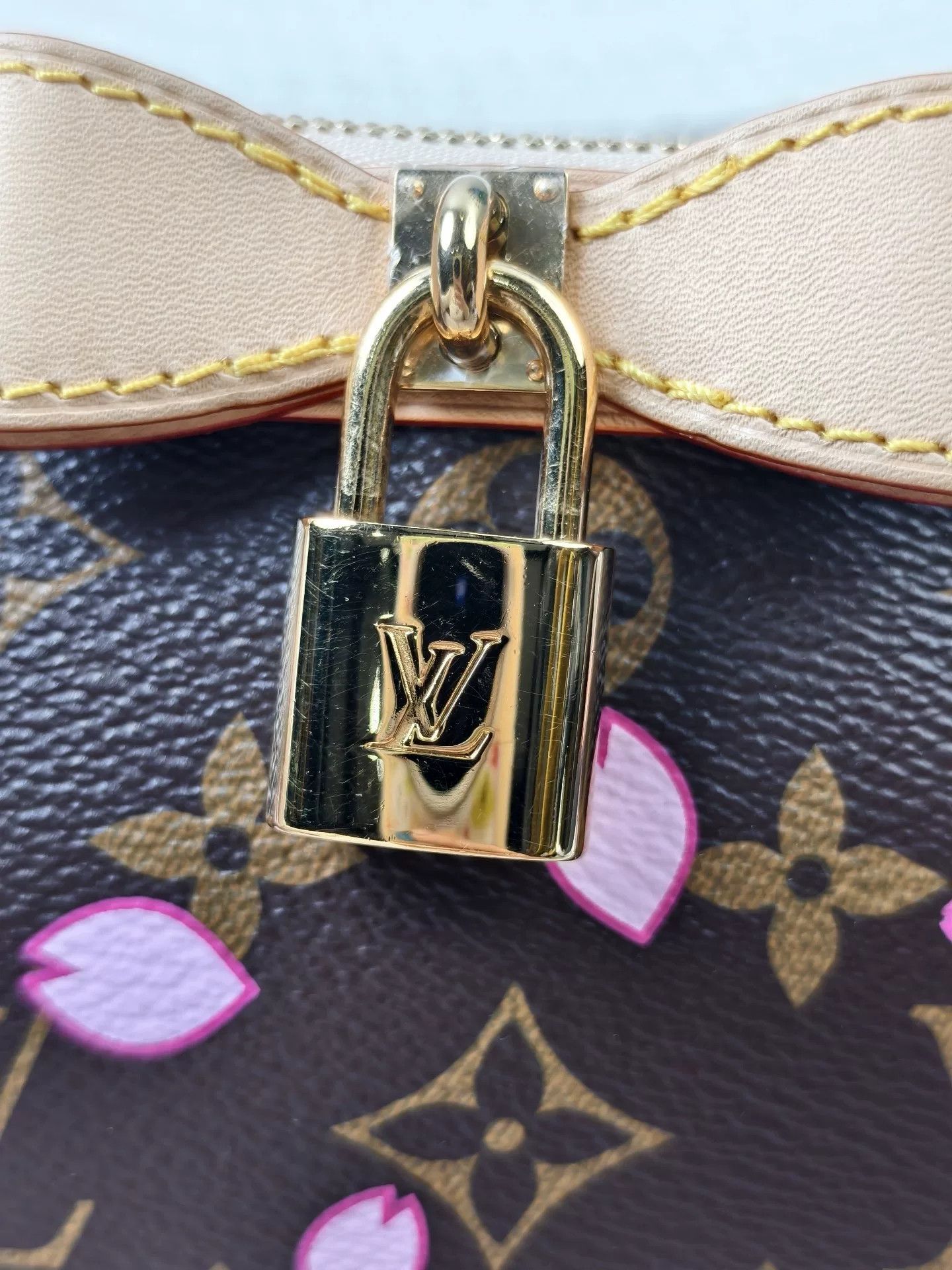 Louis Vuitton Pre-loved Bag Brand new condition Size ONE SIZE - 7 Thumbnail