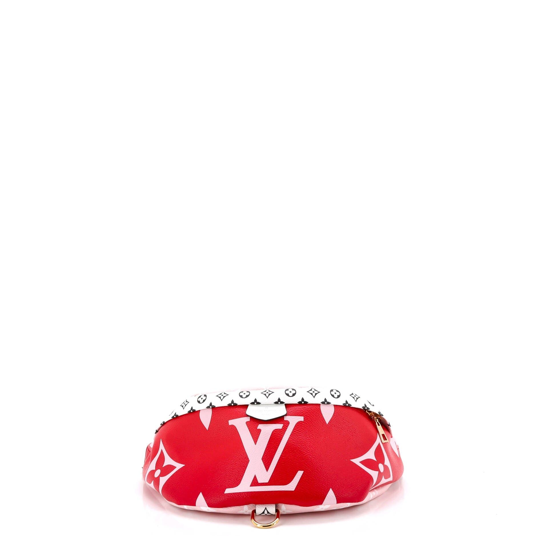 Louis Vuitton Bum Bag Size ONE SIZE - 4 Thumbnail