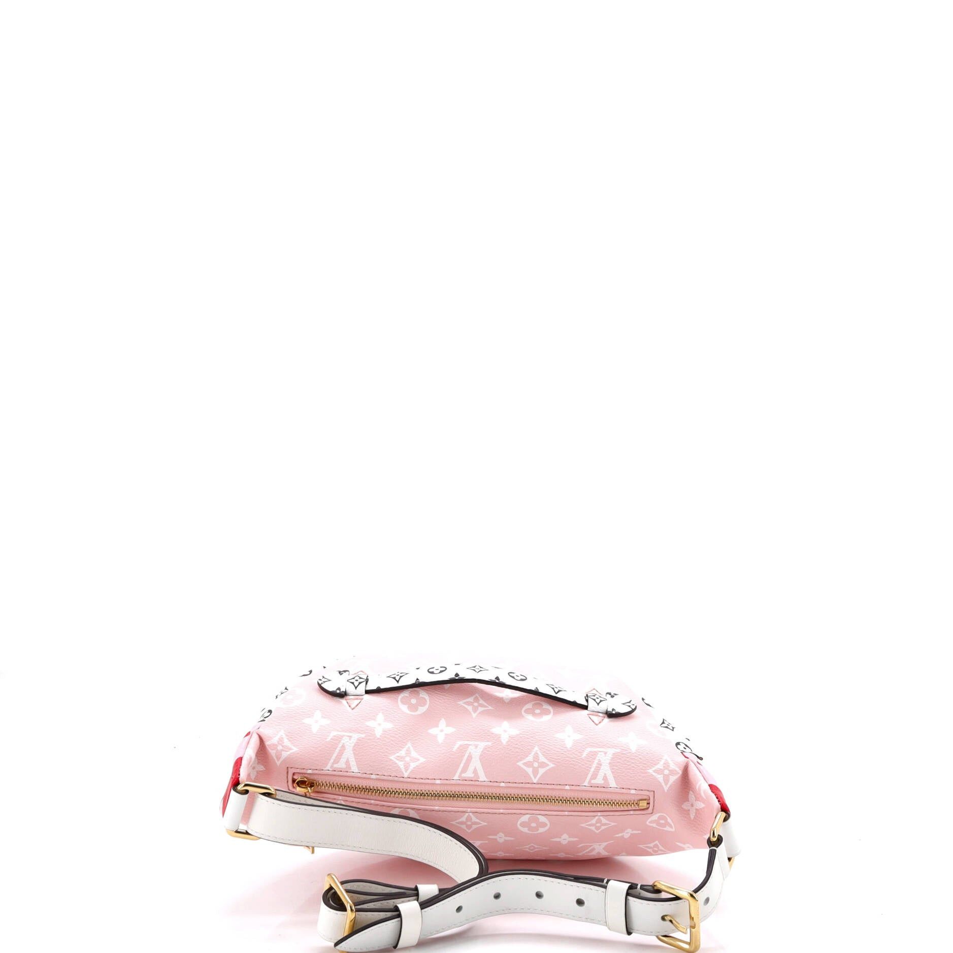 Louis Vuitton Bum Bag Size ONE SIZE - 3 Thumbnail