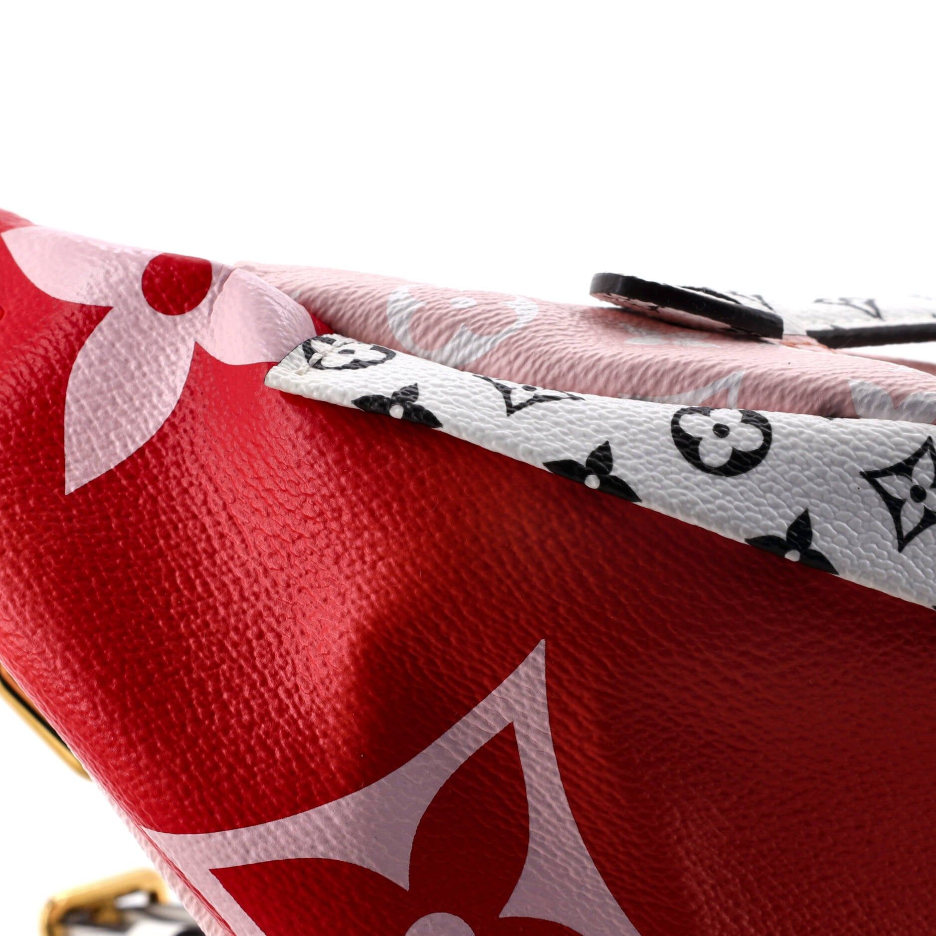 Louis Vuitton Bum Bag Size ONE SIZE - 6 Thumbnail