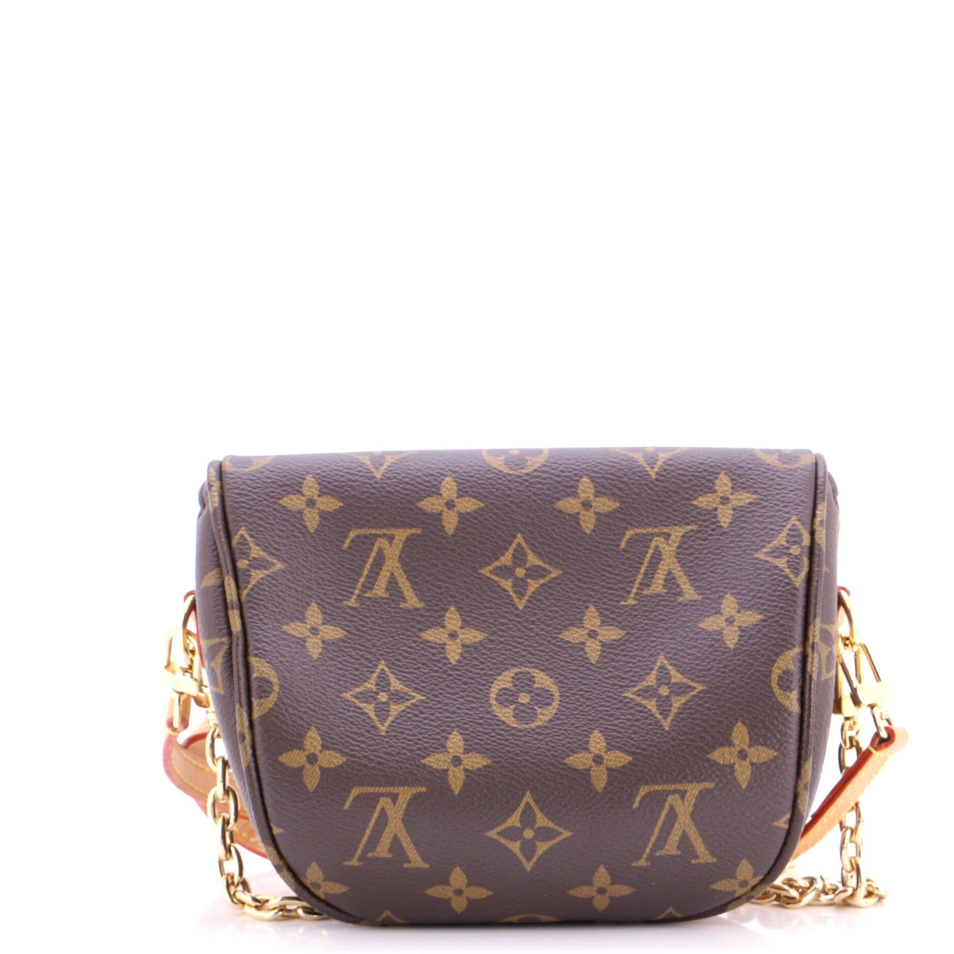 Louis Vuitton Bum Bag Size ONE SIZE - 3 Thumbnail