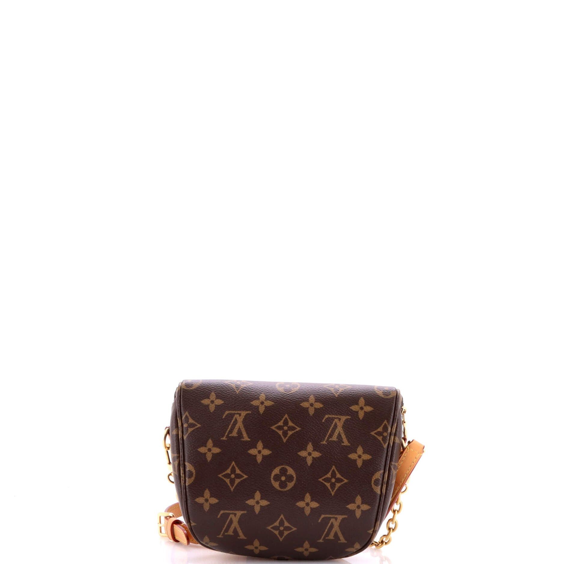 Louis Vuitton Bum Bag Size ONE SIZE - 3 Thumbnail