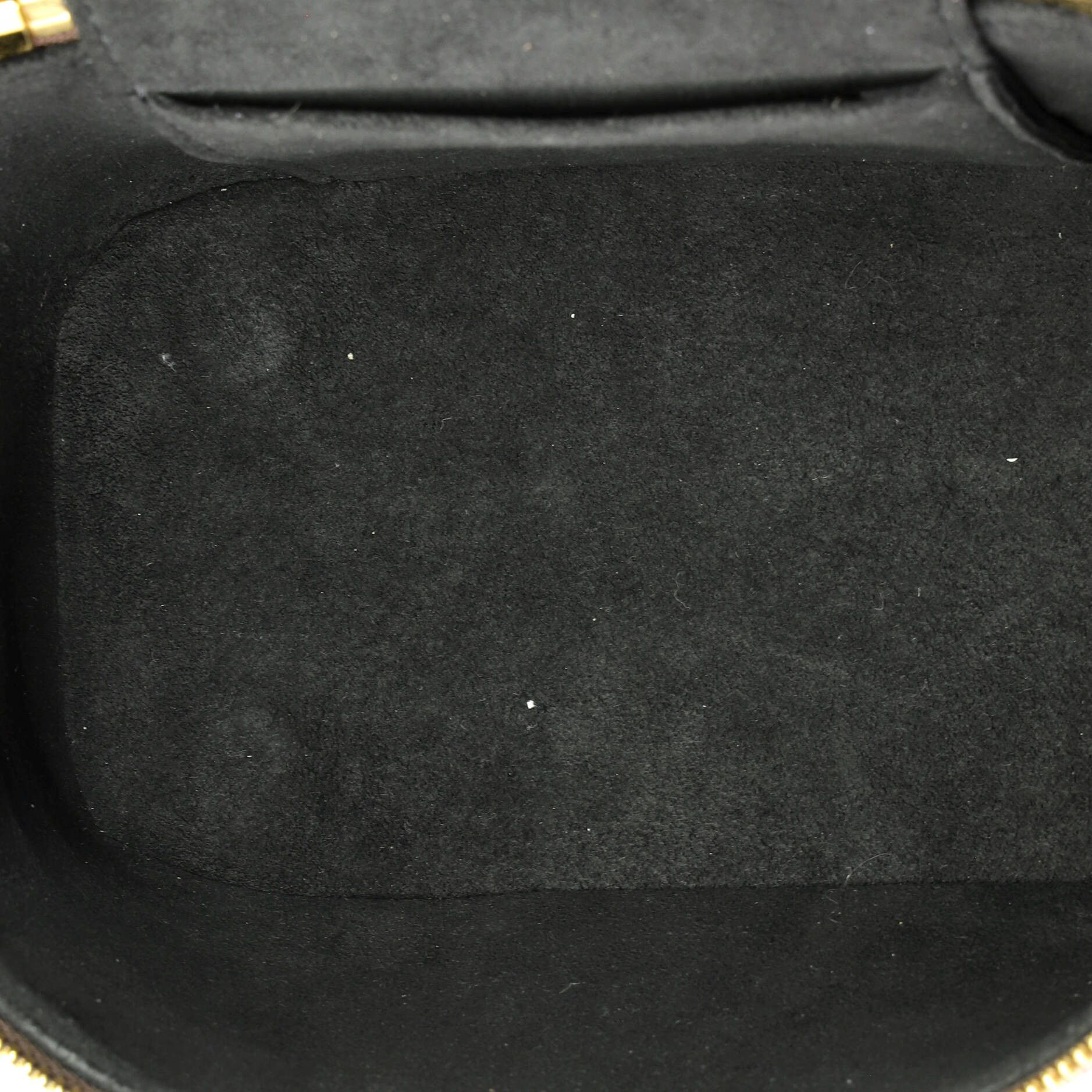 Louis Vuitton Vanity Handbag Size ONE SIZE - 5 Thumbnail