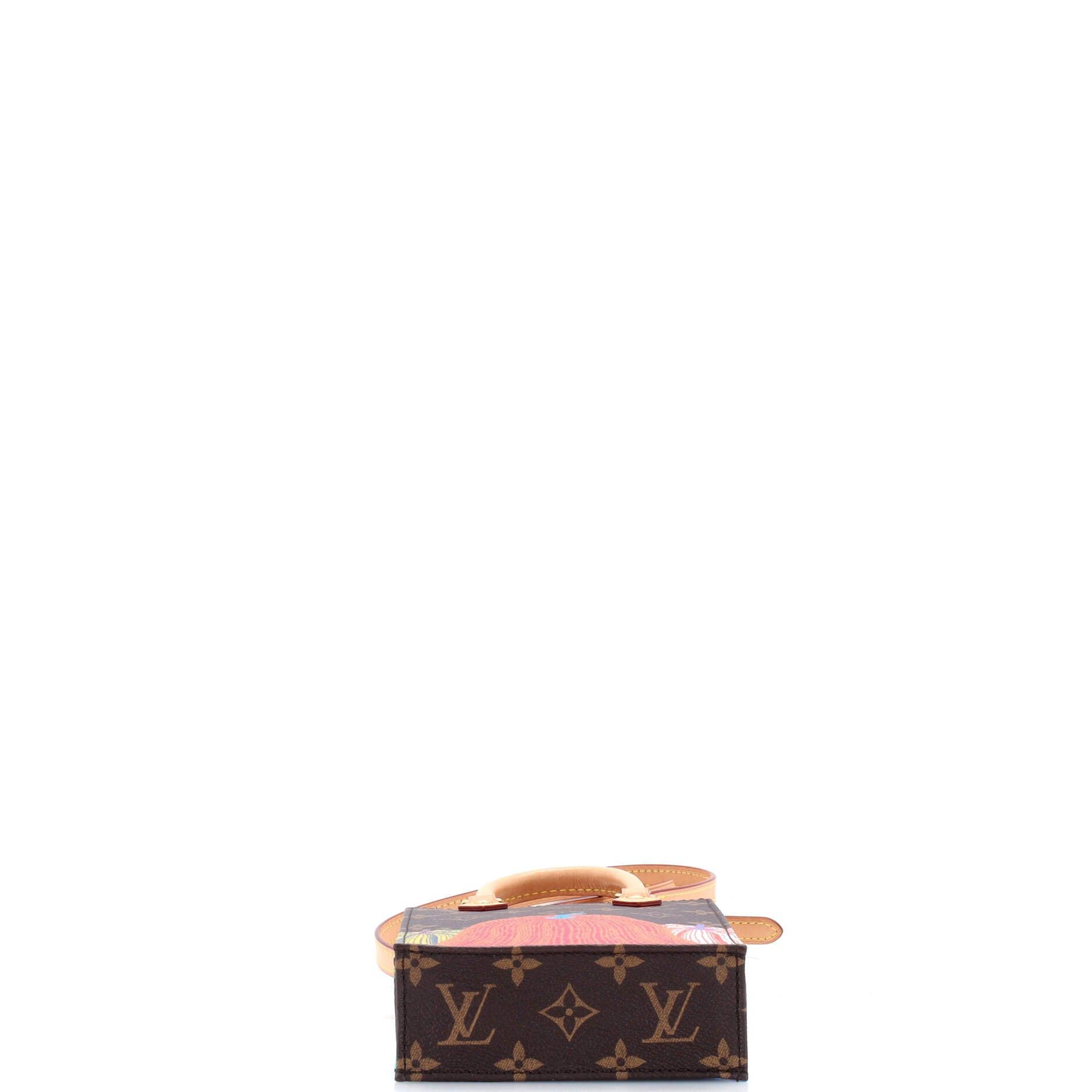 Louis Vuitton Petit Sac Plat Bag Size ONE SIZE - 4 Thumbnail