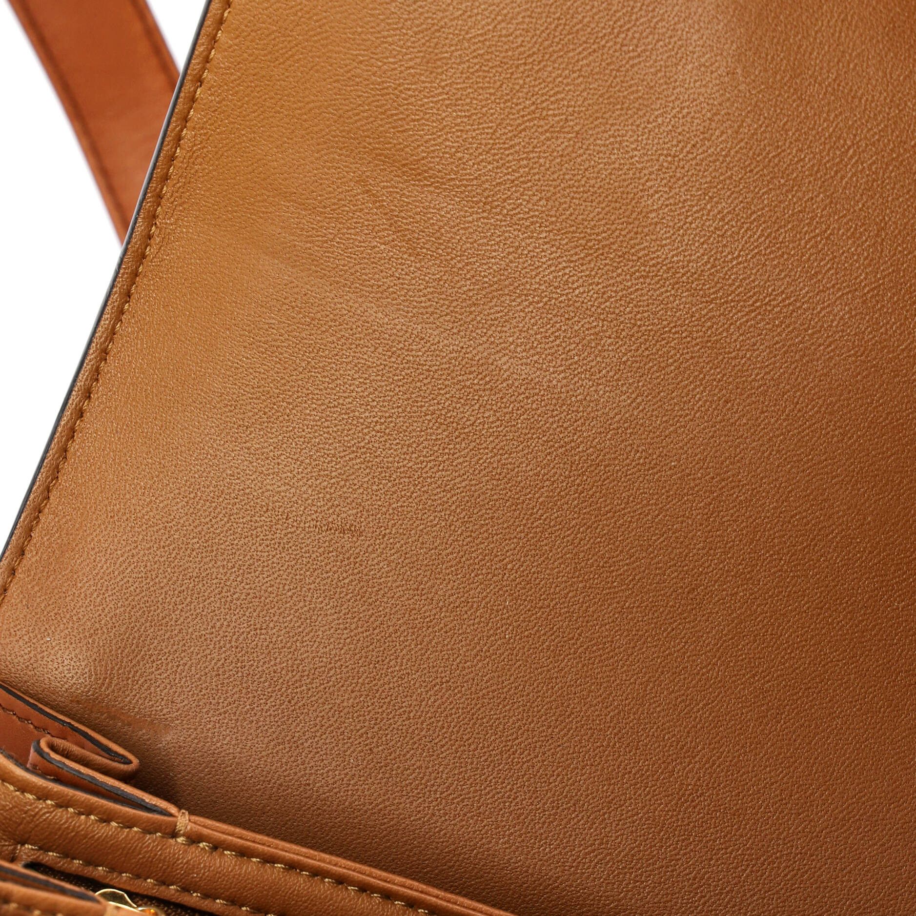 Celine Triomphe Shoulder Bag Size ONE SIZE - 6 Thumbnail