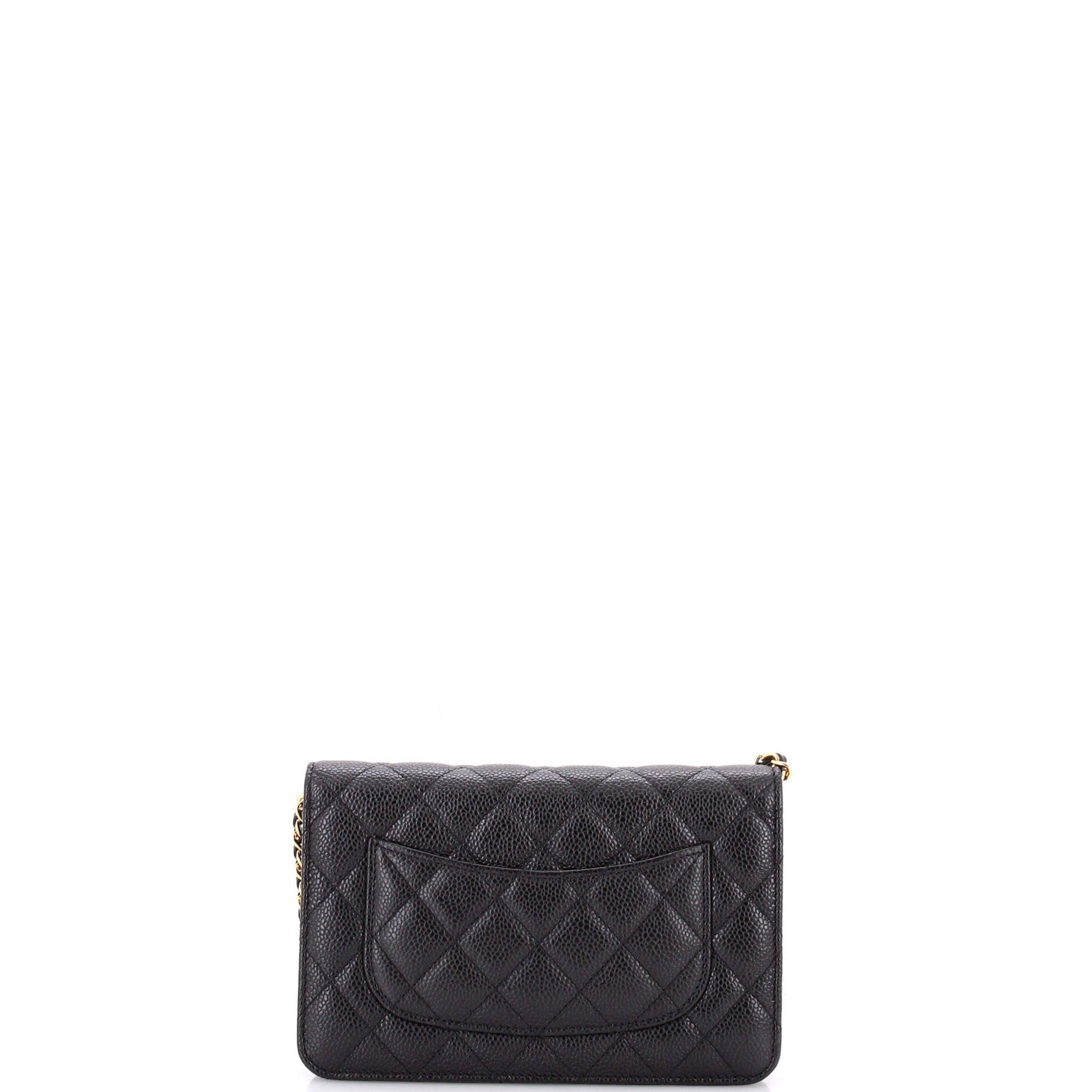 Chanel Wallet on Chain Size ONE SIZE - 4 Thumbnail