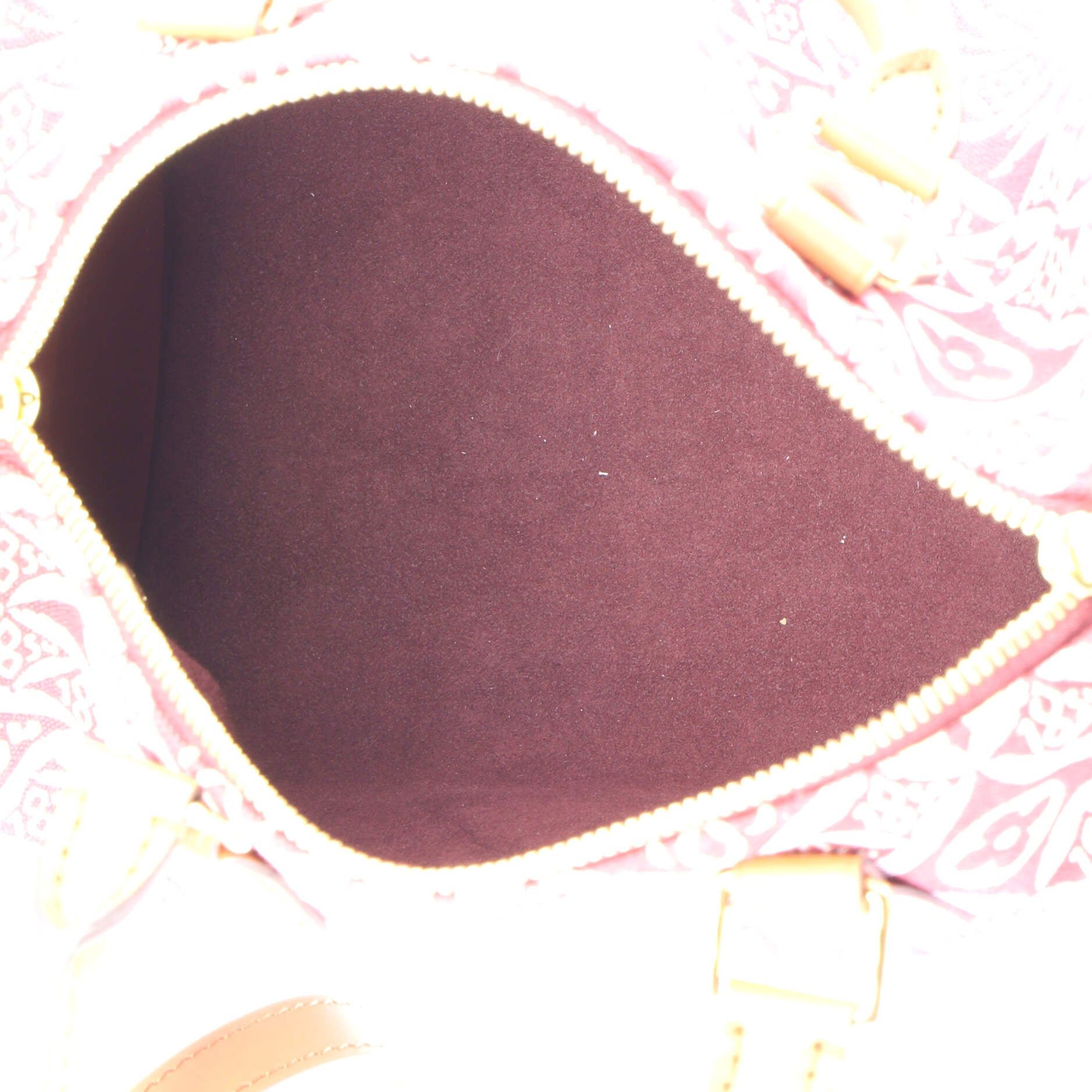 Louis Vuitton Speedy Bandouliere Bag Size ONE SIZE - 5 Thumbnail