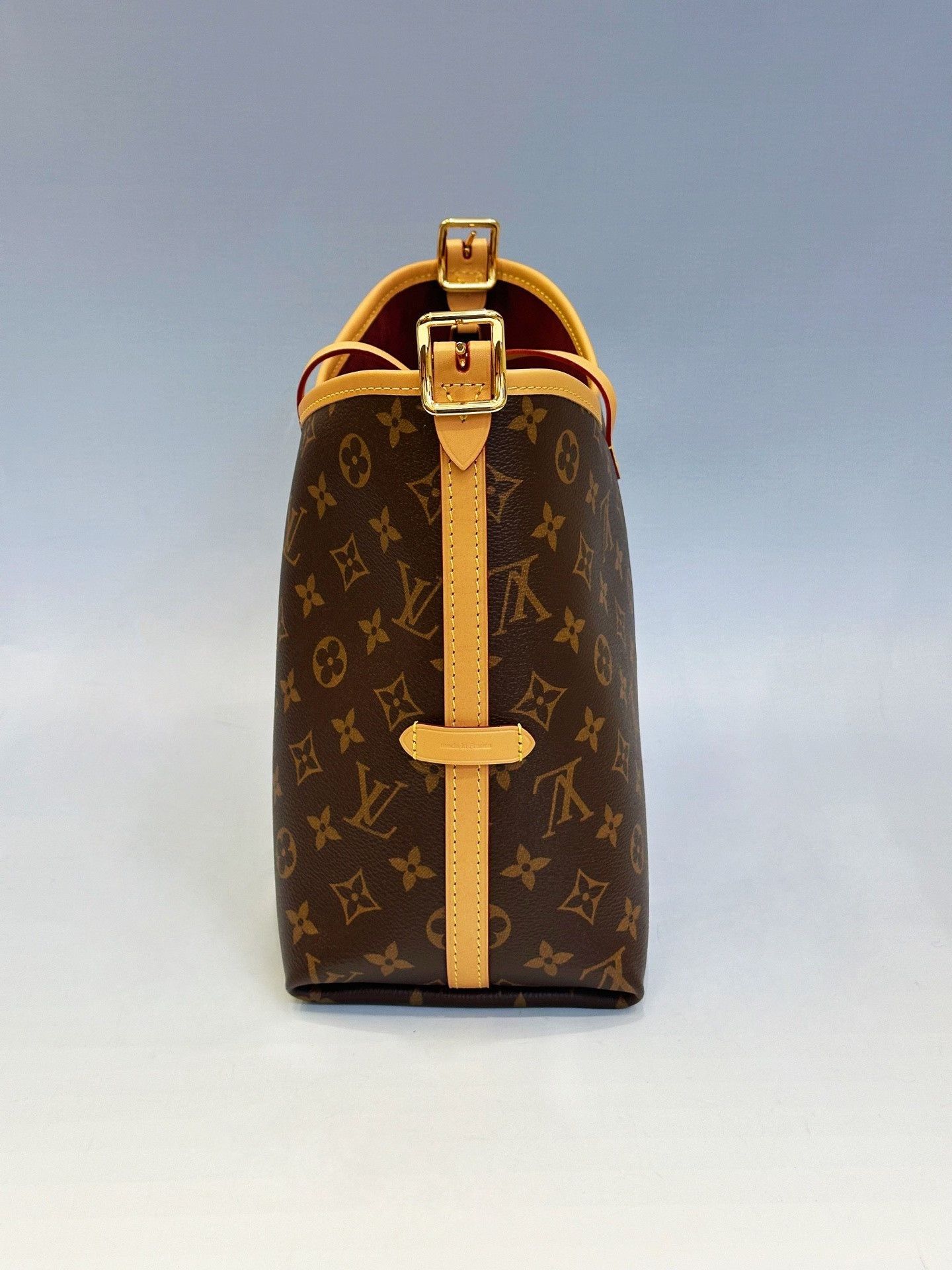 Louis Vuitton Pre-loved Bag Brand new condition Size ONE SIZE - 5 Thumbnail
