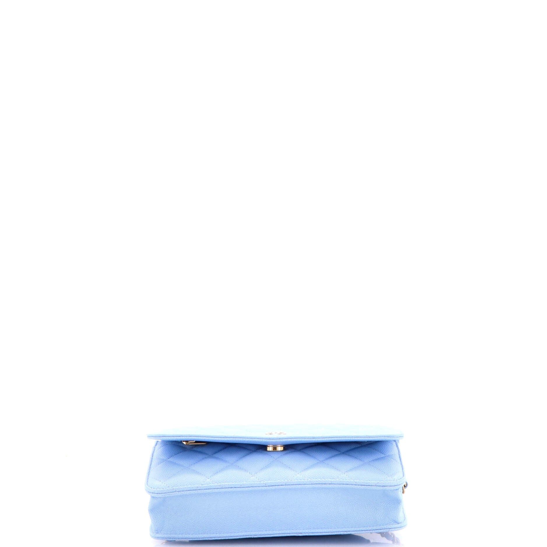 Chanel Wallet on Chain Size ONE SIZE - 4 Thumbnail