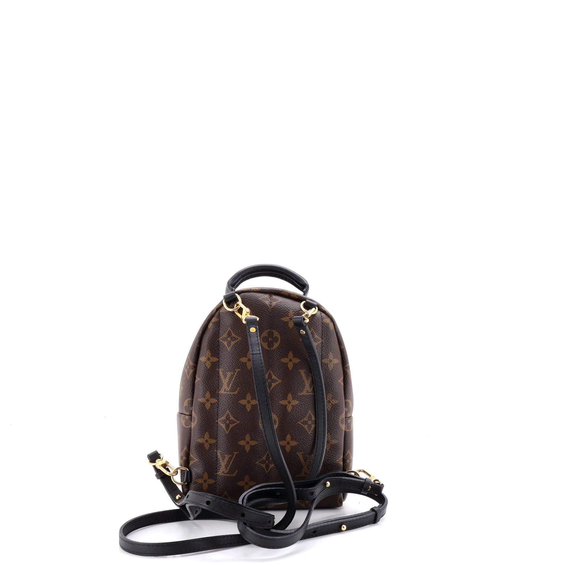 Louis Vuitton Palm Springs Backpack Size ONE SIZE - 3 Thumbnail