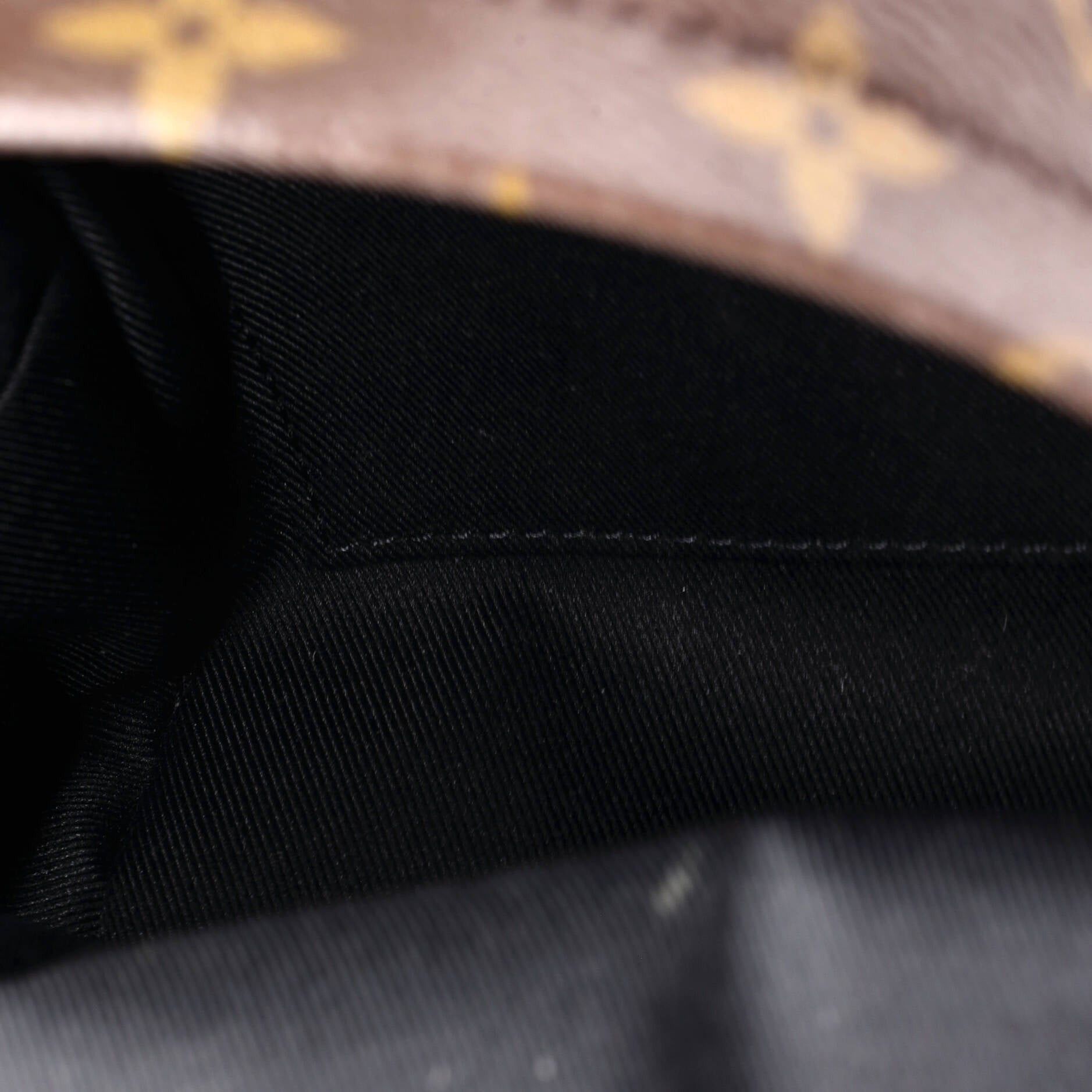 Louis Vuitton Palm Springs Backpack Size ONE SIZE - 5 Thumbnail