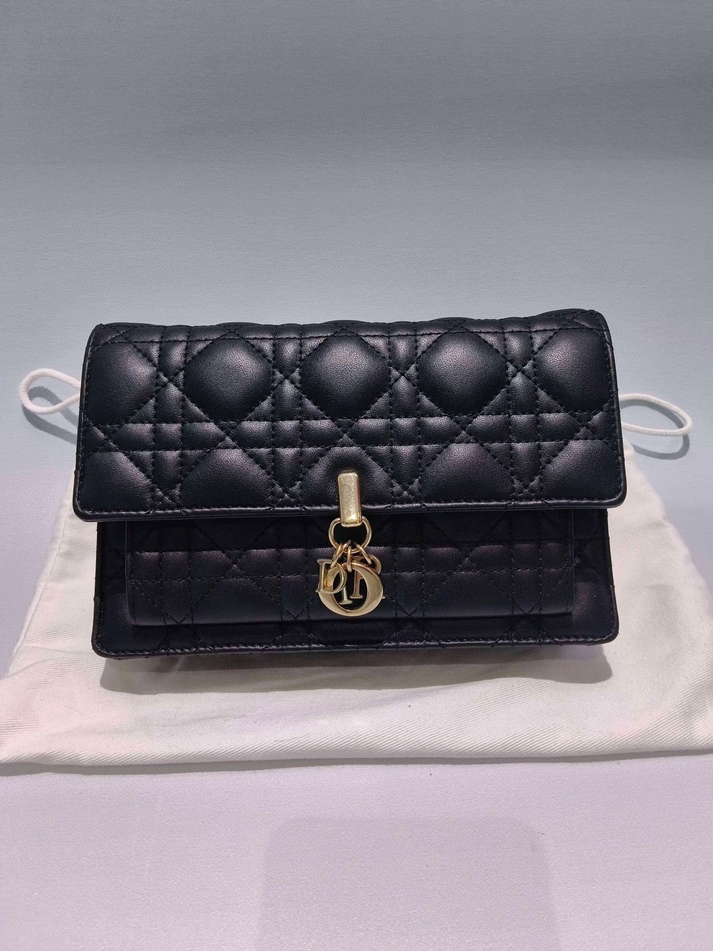 Dior Pre-loved Bag Very good condition Size ONE SIZE - 9 Thumbnail