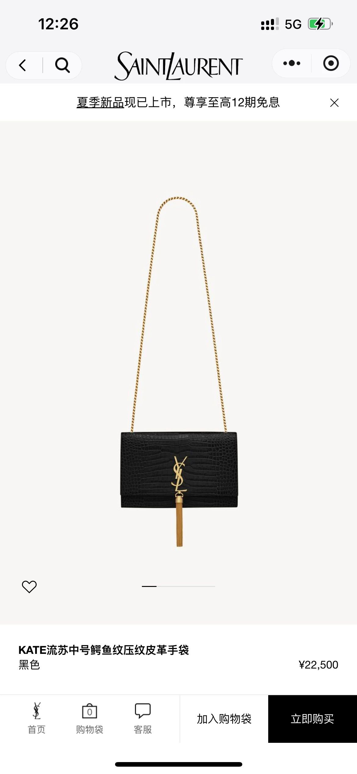 Saint Laurent Paris Pre-loved Bag Very good condition Size ONE SIZE - 4 Thumbnail