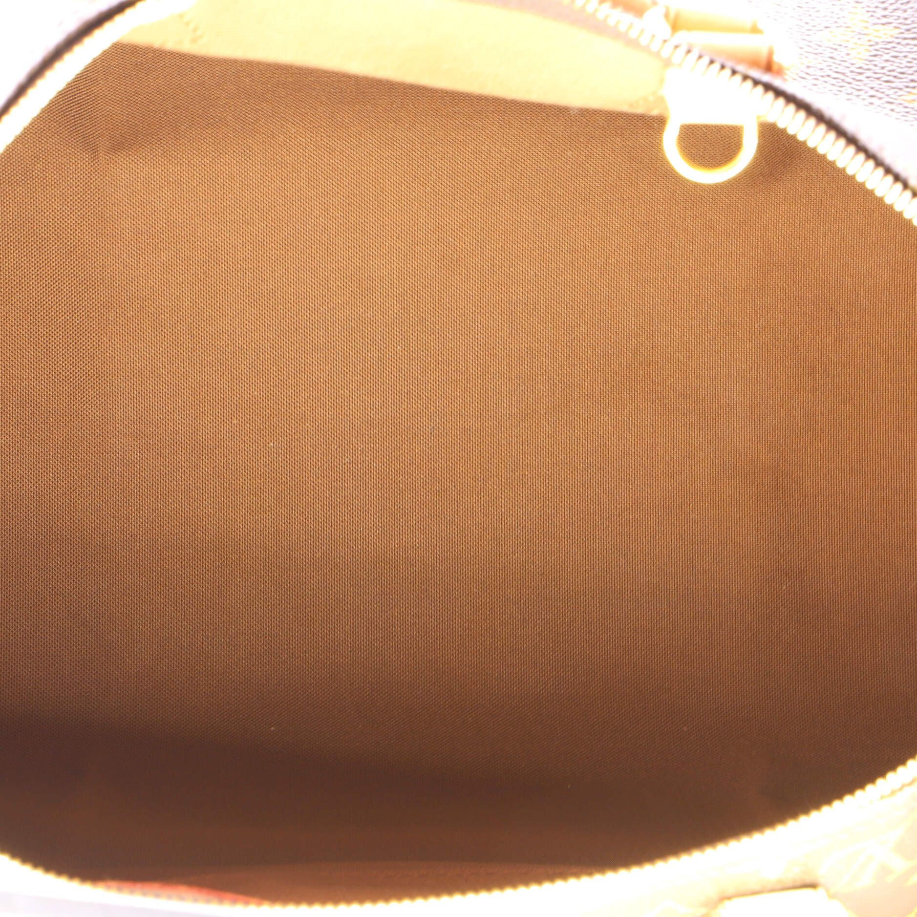 Louis Vuitton Speedy Handbag Size ONE SIZE - 5 Thumbnail