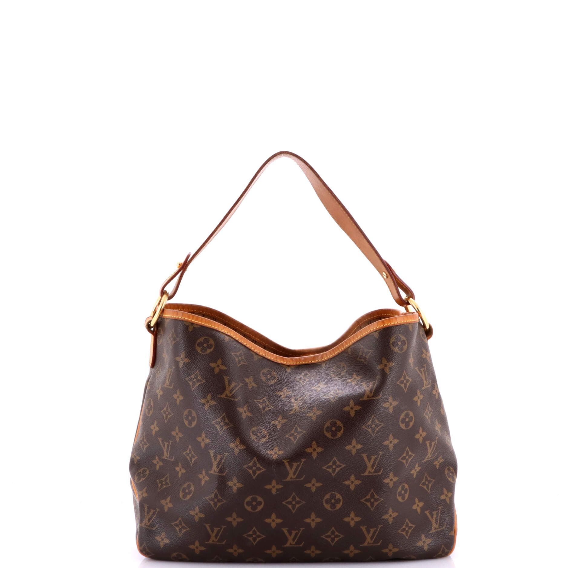 Louis Vuitton Delightful Handbag Size ONE SIZE - 3 Thumbnail
