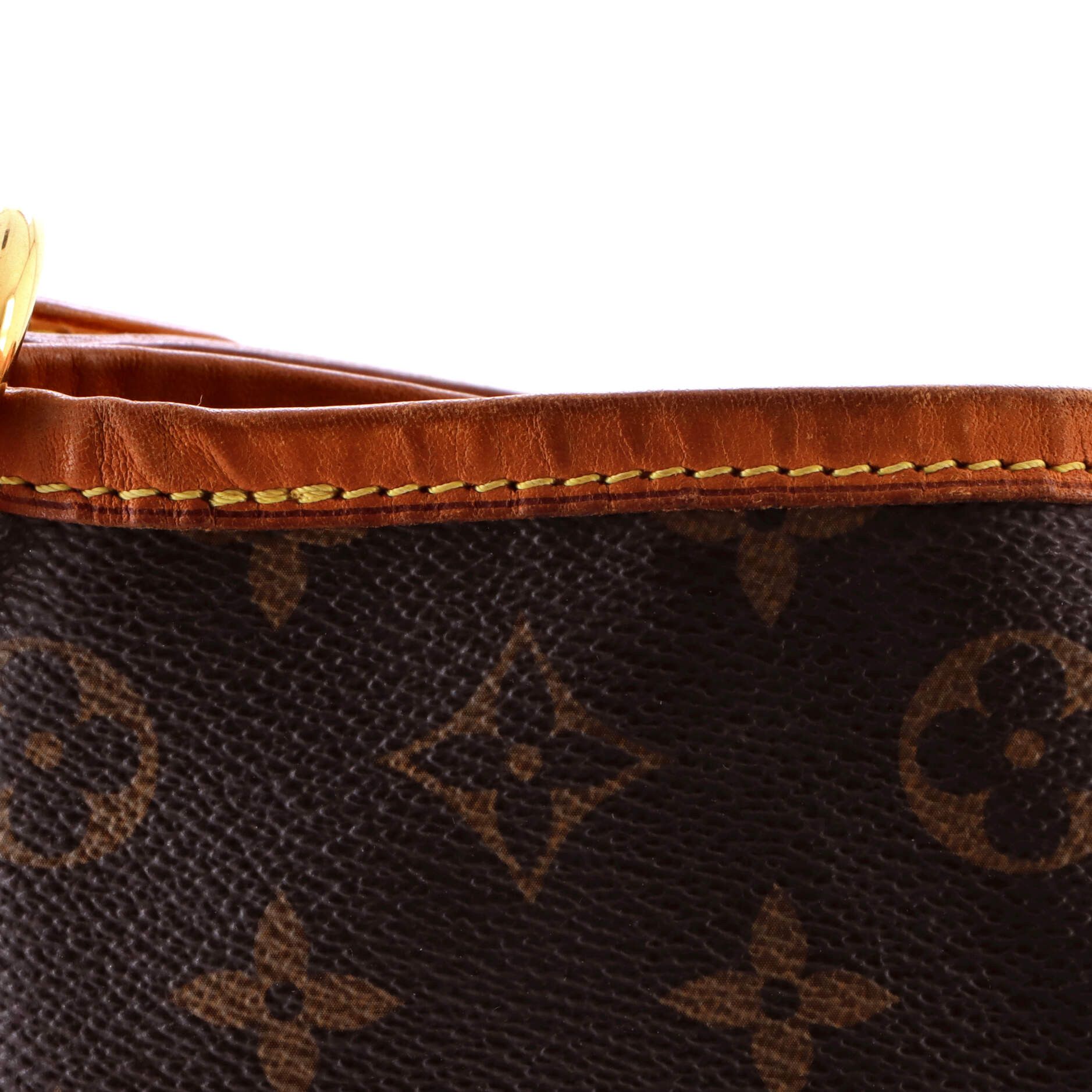 Louis Vuitton Delightful Handbag Size ONE SIZE - 7 Thumbnail