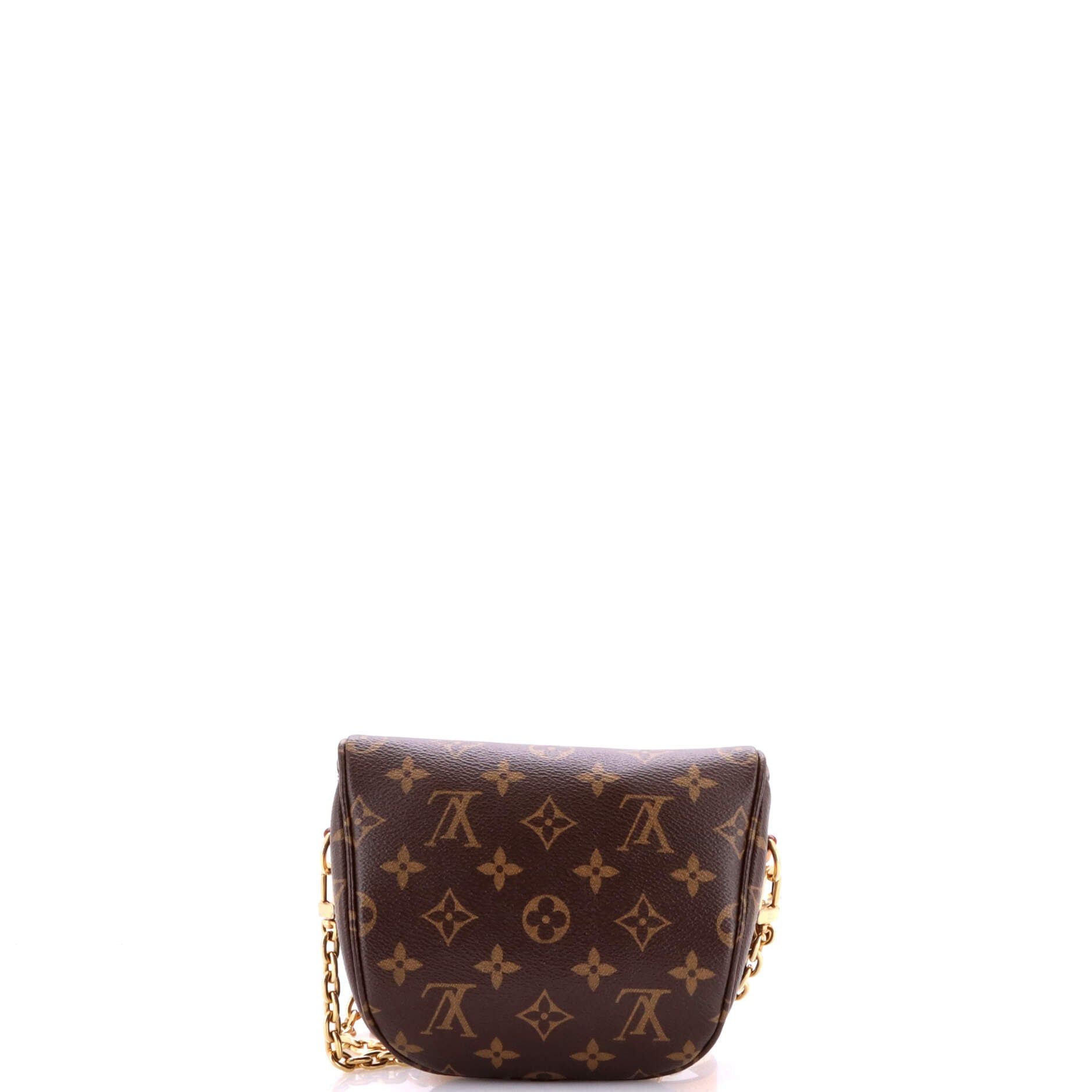 Louis Vuitton Bum Bag Size ONE SIZE - 3 Thumbnail