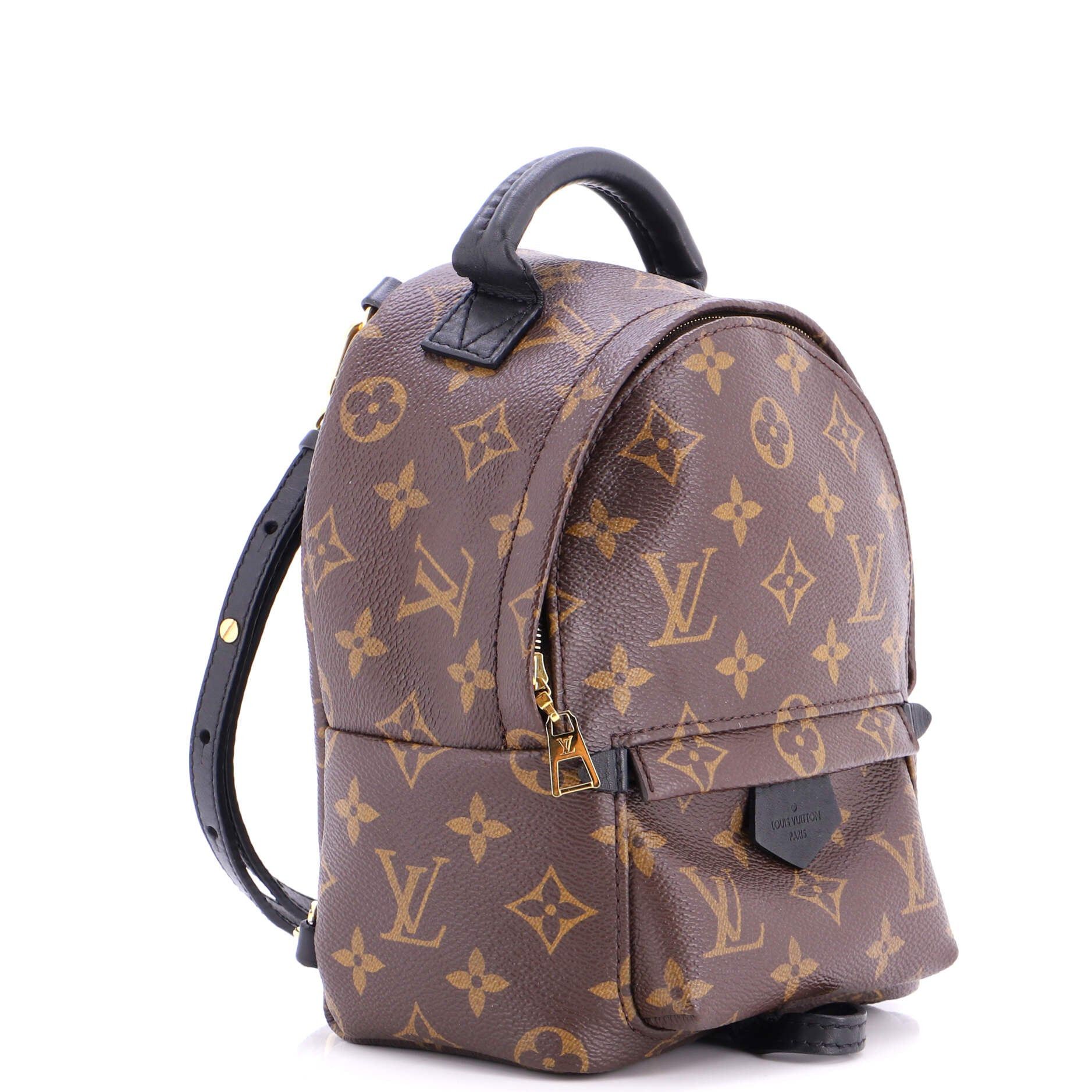 Louis Vuitton Palm Springs Backpack Size ONE SIZE - 2 Thumbnail