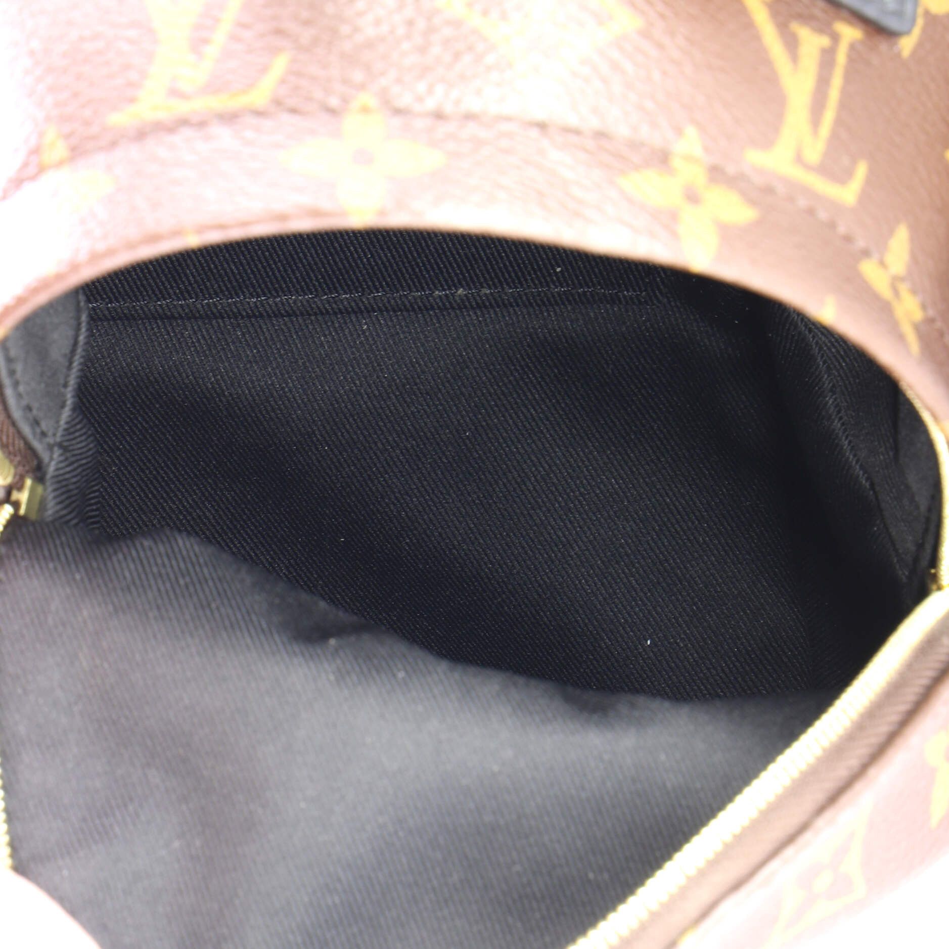 Louis Vuitton Palm Springs Backpack Size ONE SIZE - 5 Thumbnail