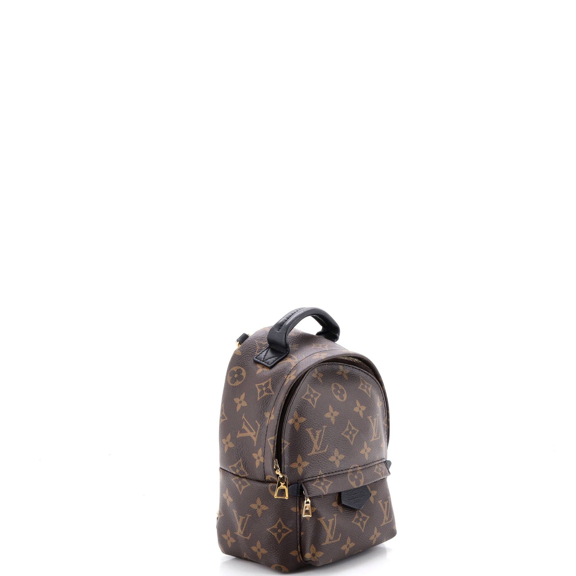 Louis Vuitton Palm Springs Backpack Size ONE SIZE - 2 Thumbnail