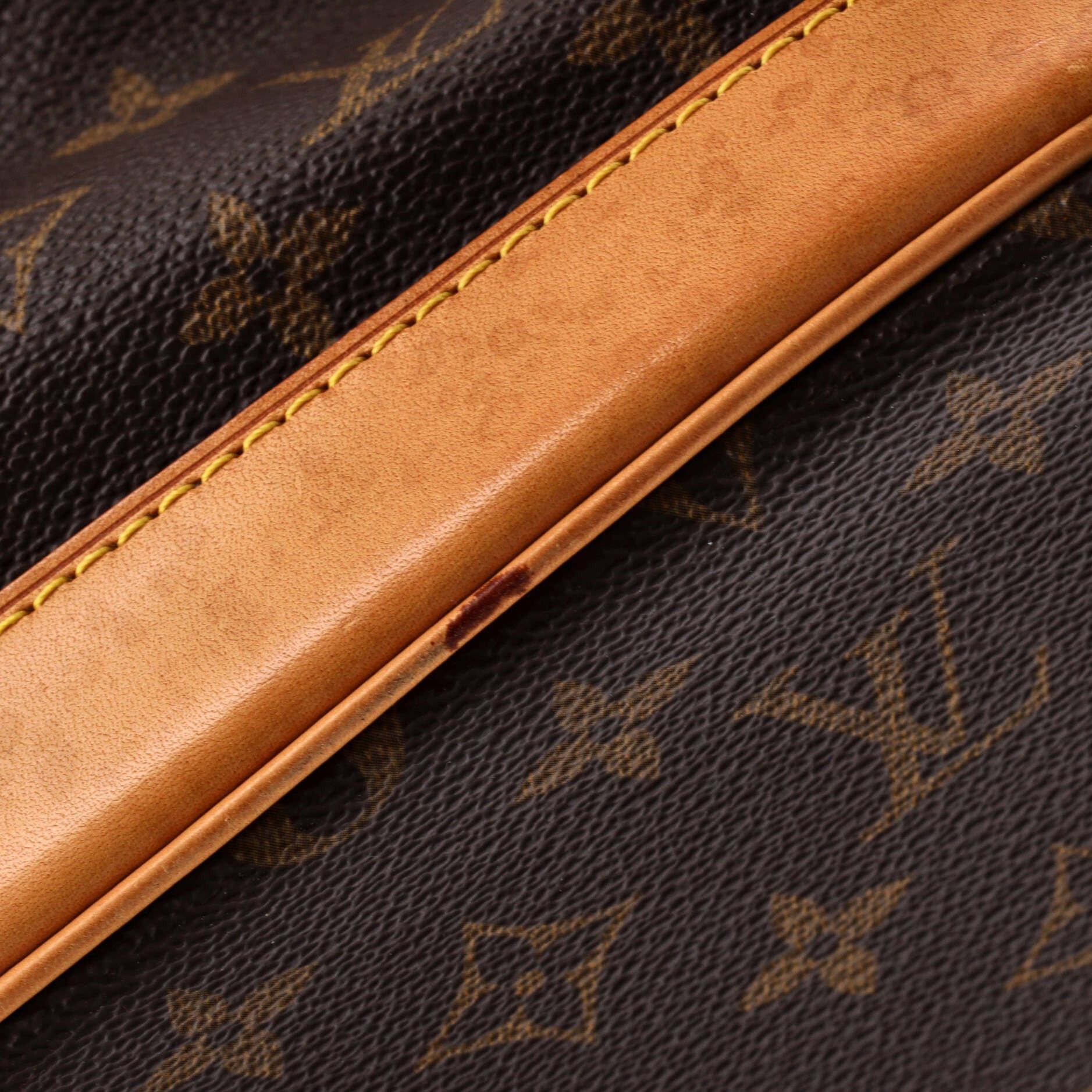Louis Vuitton Cruiser Handbag Size ONE SIZE - 6 Thumbnail